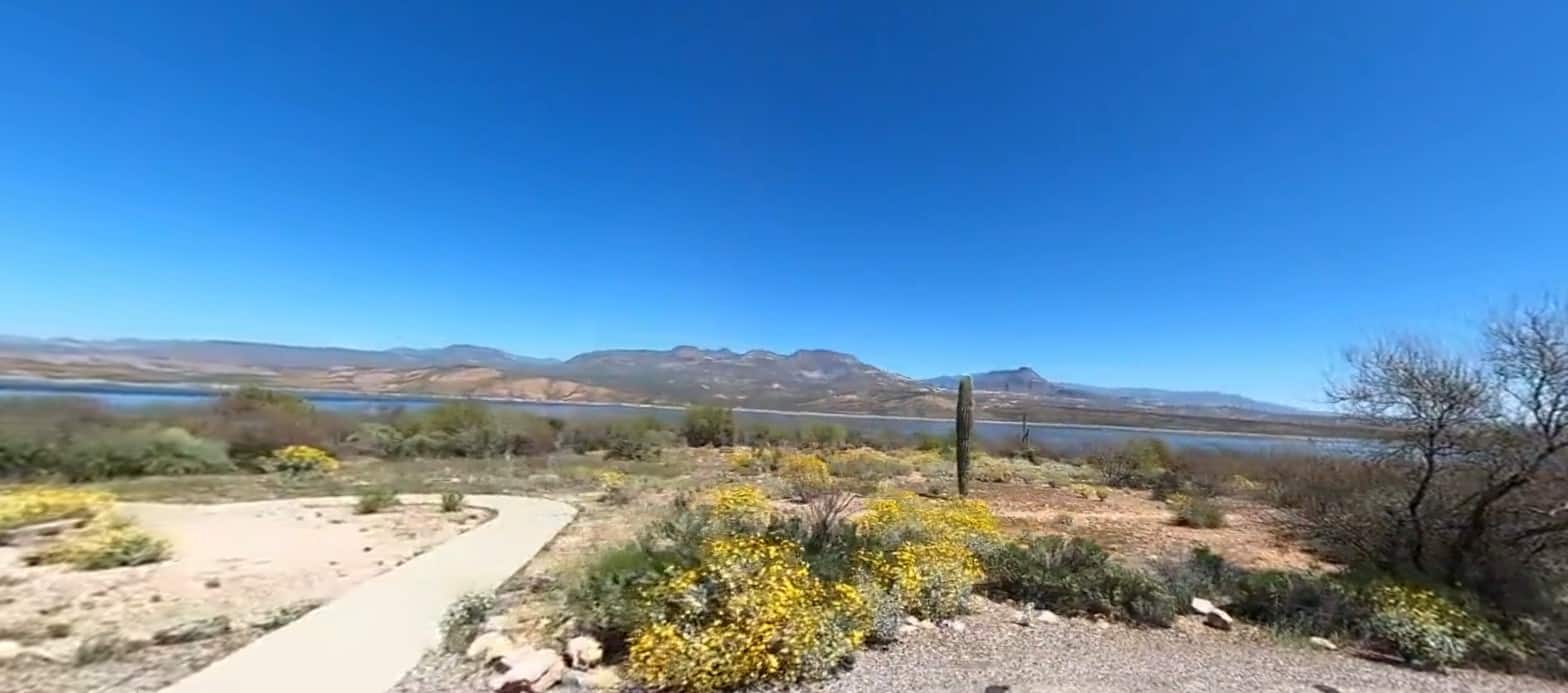 Cholla Campground