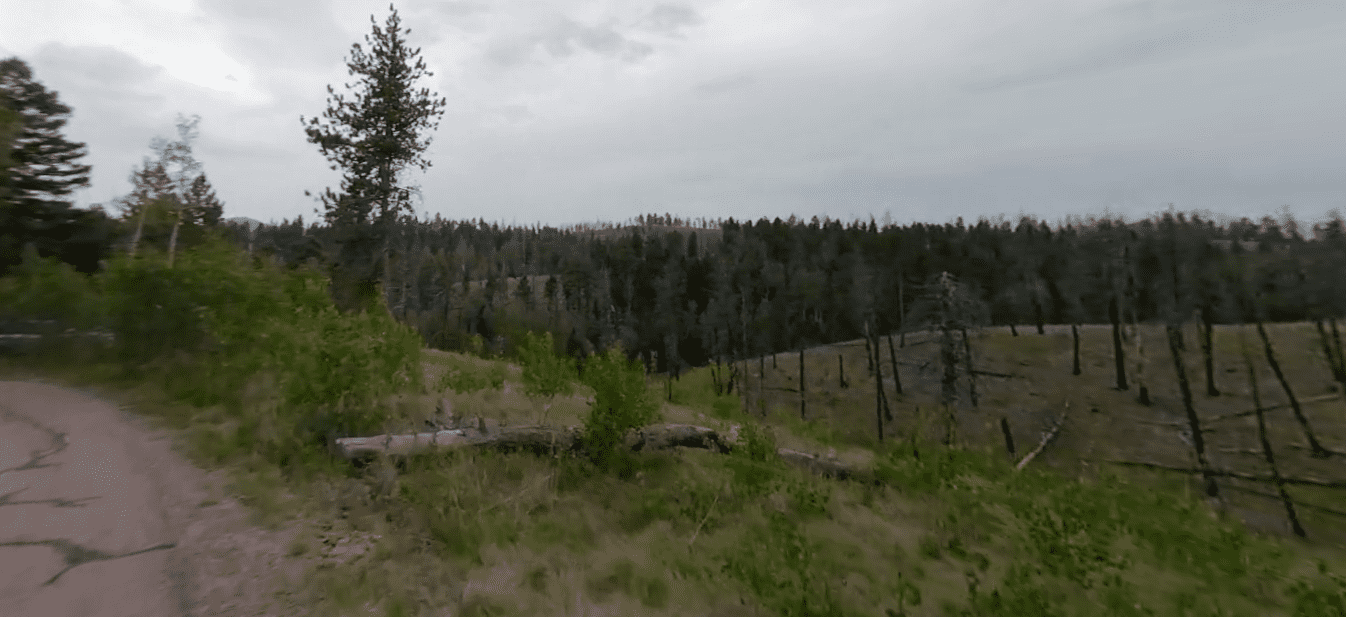 Meadow Ridge Campground - Pike National Forest