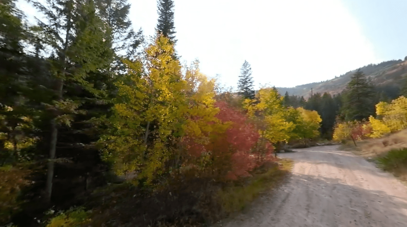 Paris Springs Campground