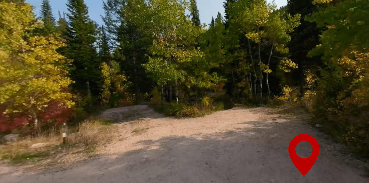 Paris Springs Campground