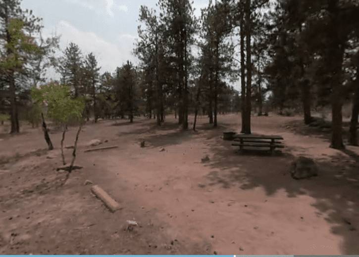 Round Mountain Campground - Pike National Forest