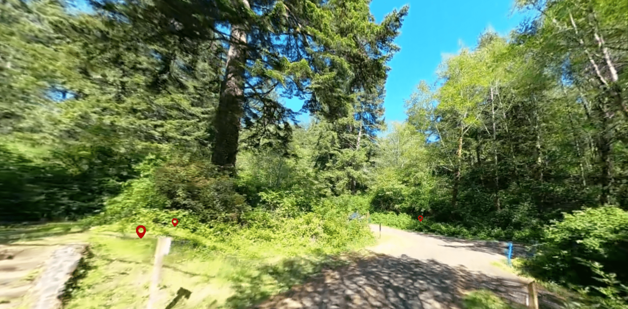 Alder Dune Campground