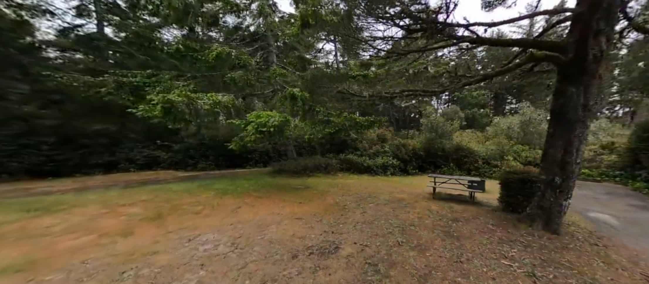 Waxmyrtle Campground