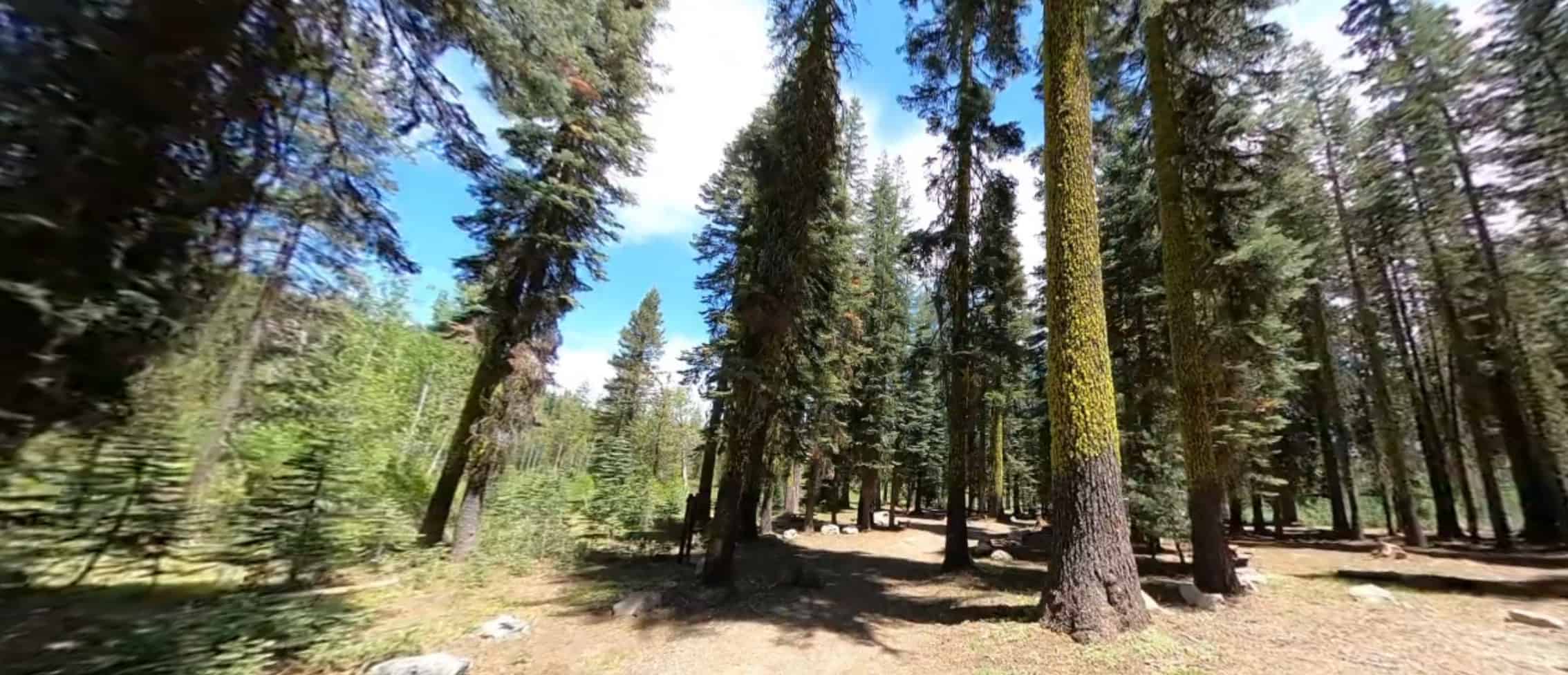 Yuba Pass Campground