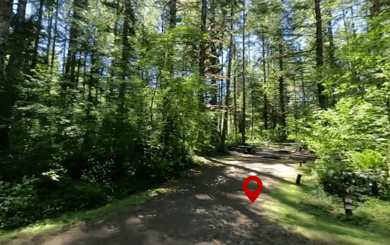 Alsea Falls Recreation Site Campground