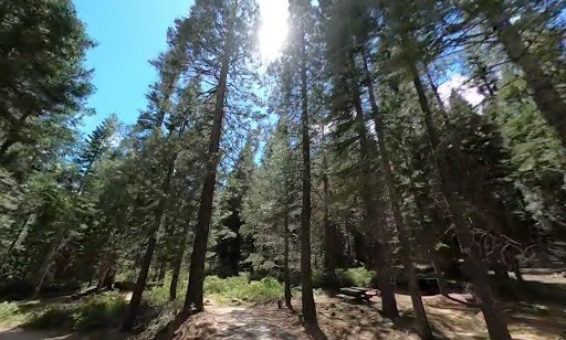 Lewis At French Meadows Campground