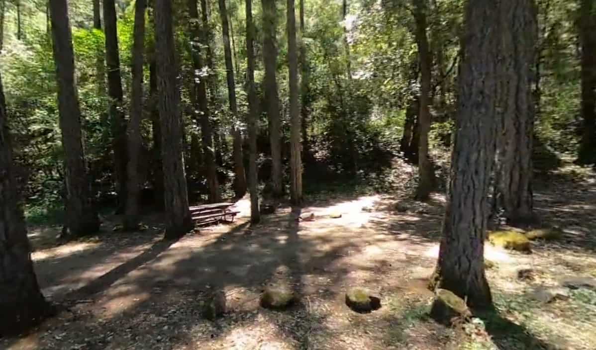 Dillon Creek Campground