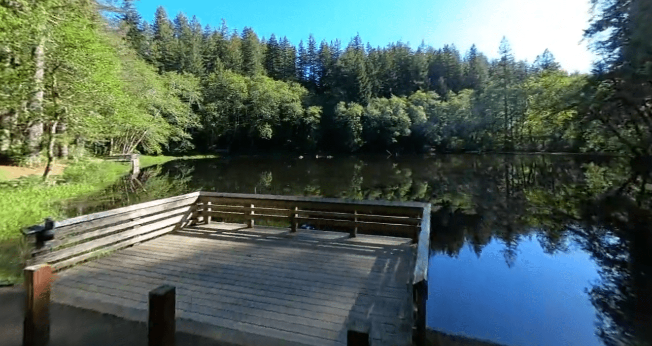 Hebo Lake Campground