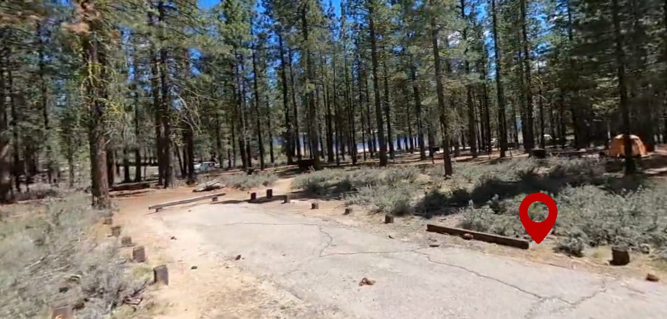 Long Point Campground (CA)