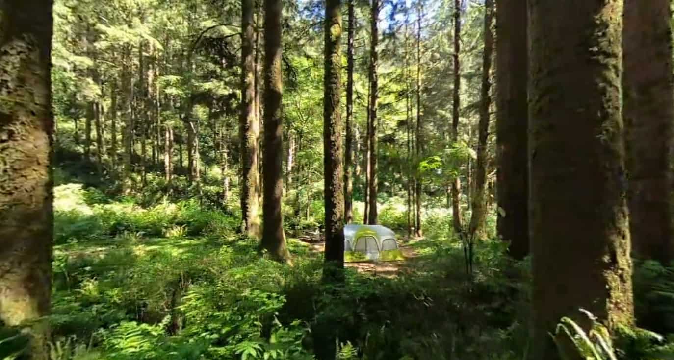 Rock Creek-Suislaw Campground