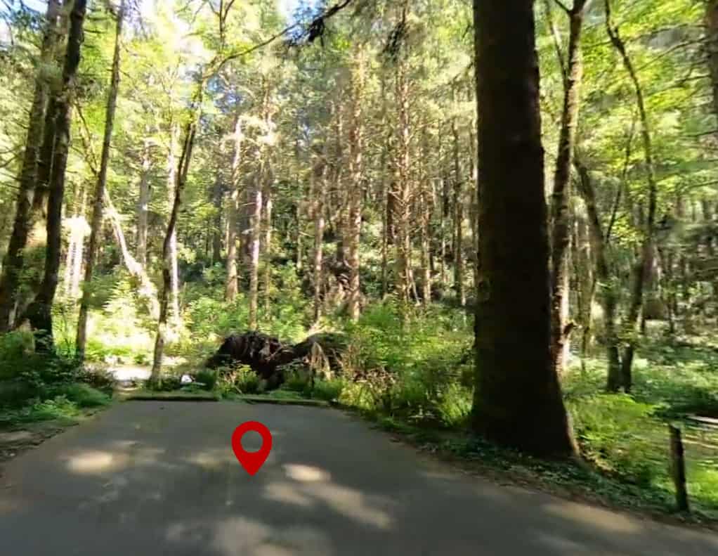 Rock Creek-Suislaw Campground