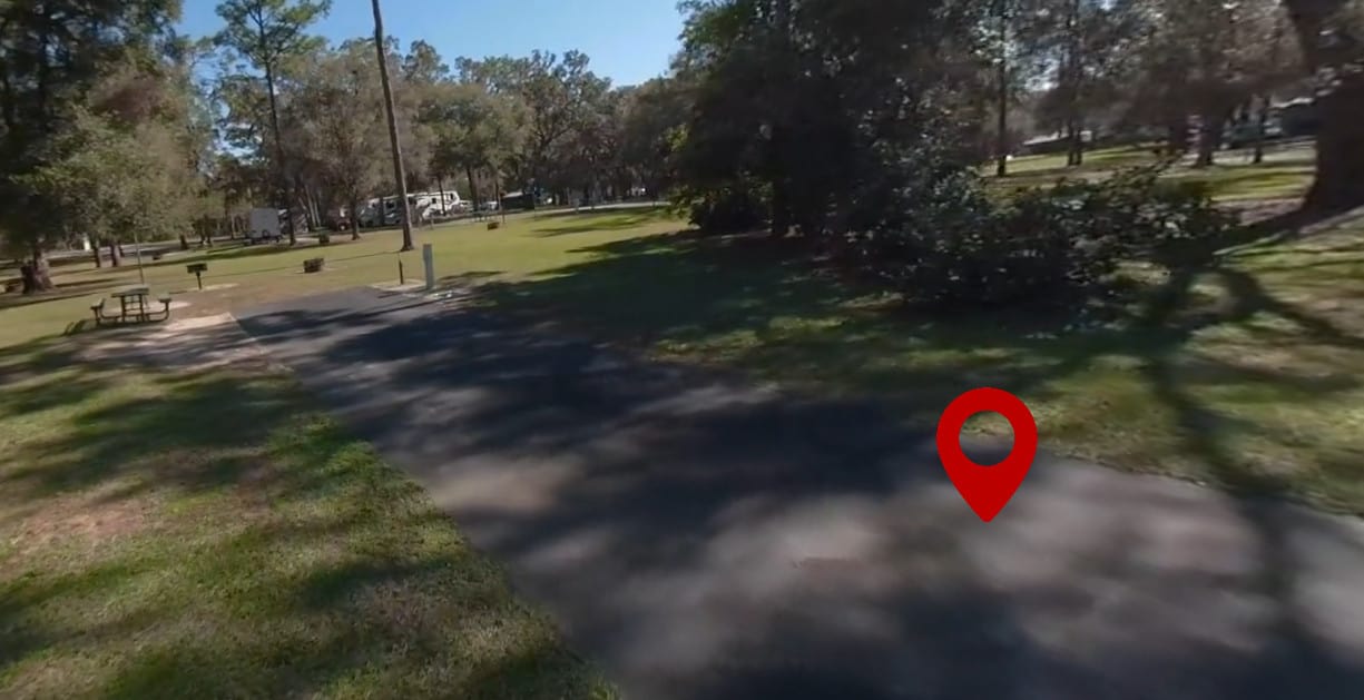 Salt Springs Recreation Area Campground