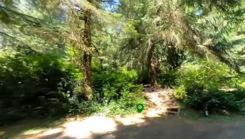 Tahkenitch Campground