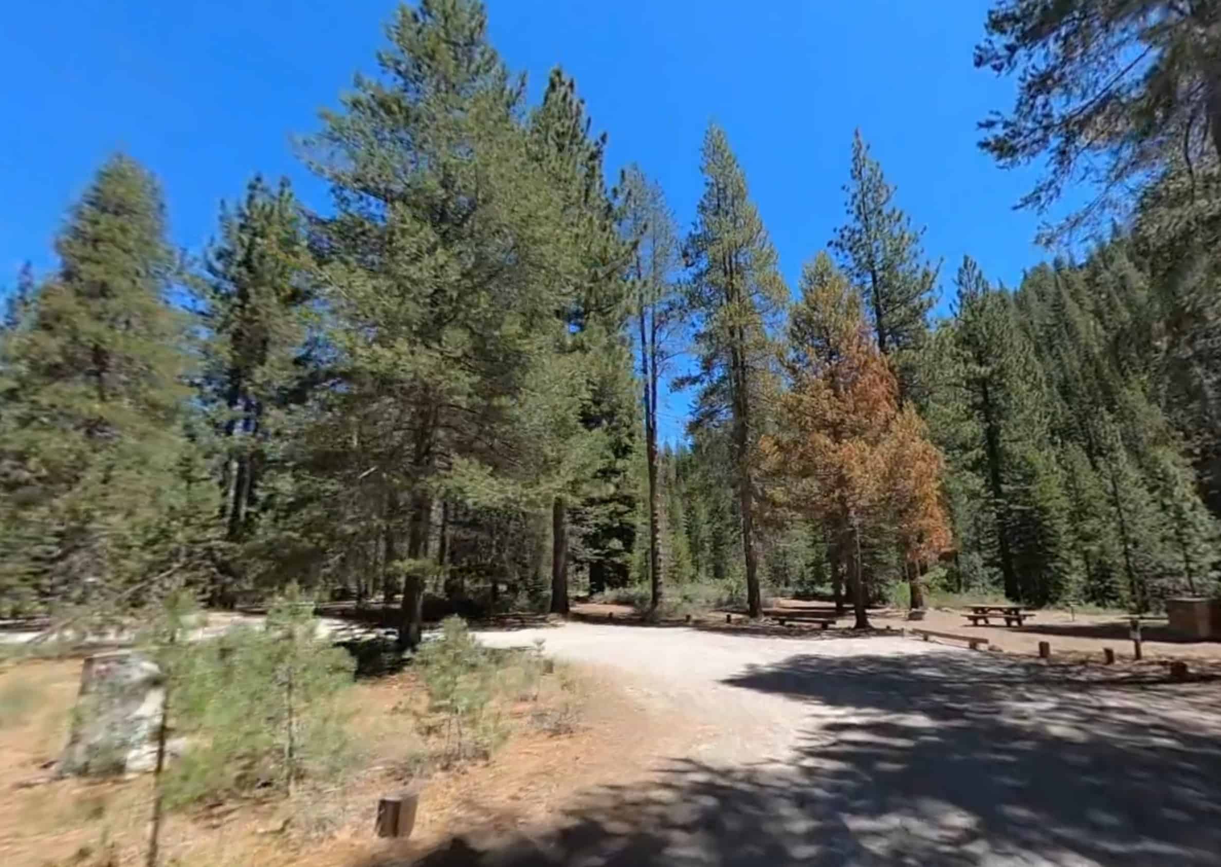 Goose Meadows Campground