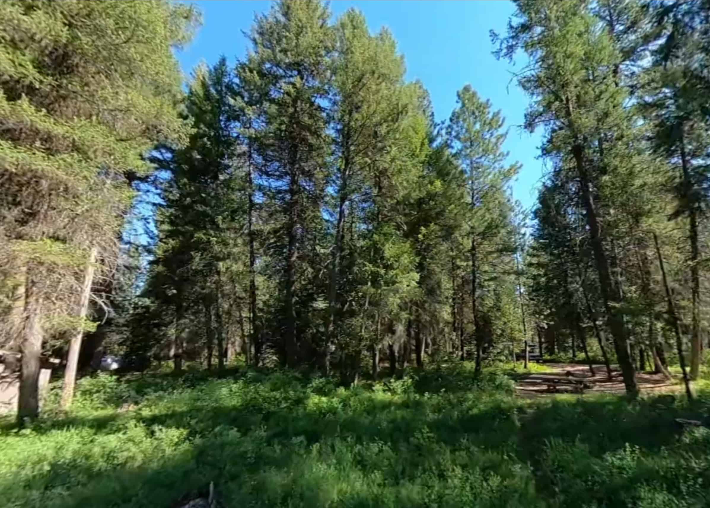 Bull Prairie Campground