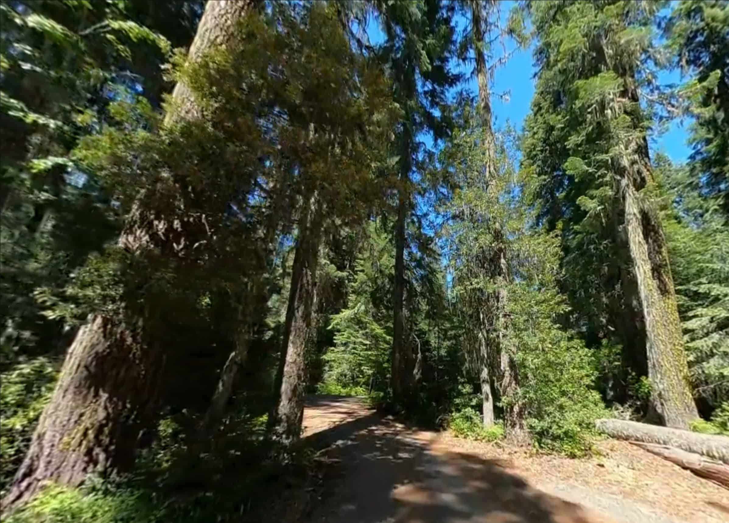 Doe Point Campground