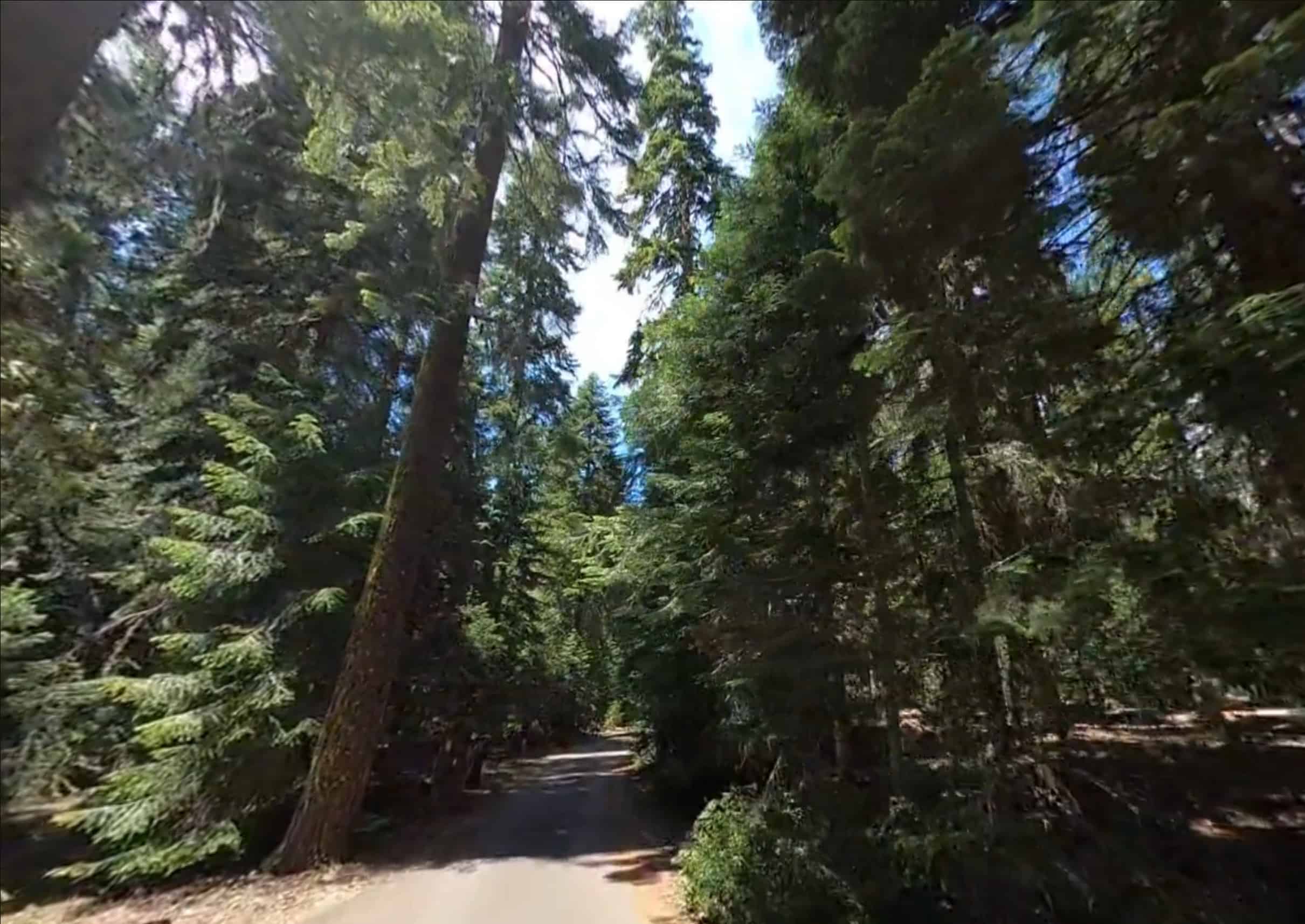 Fish Lake Campground - Rogue River