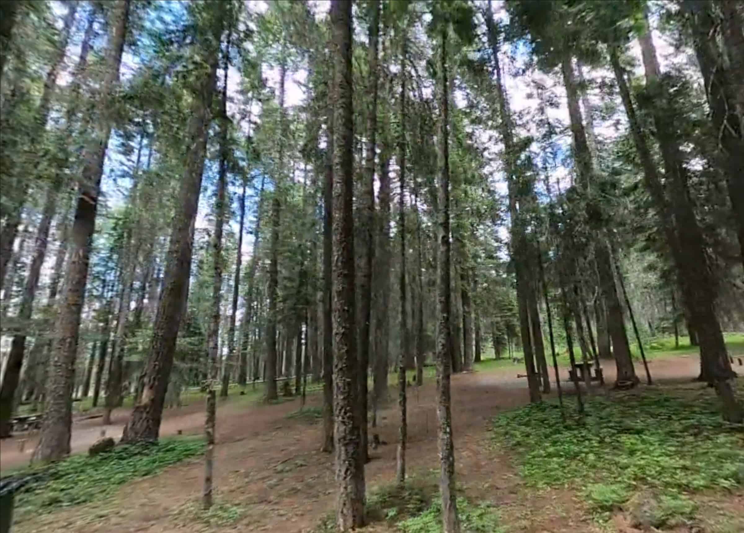 Aspen Point Campground