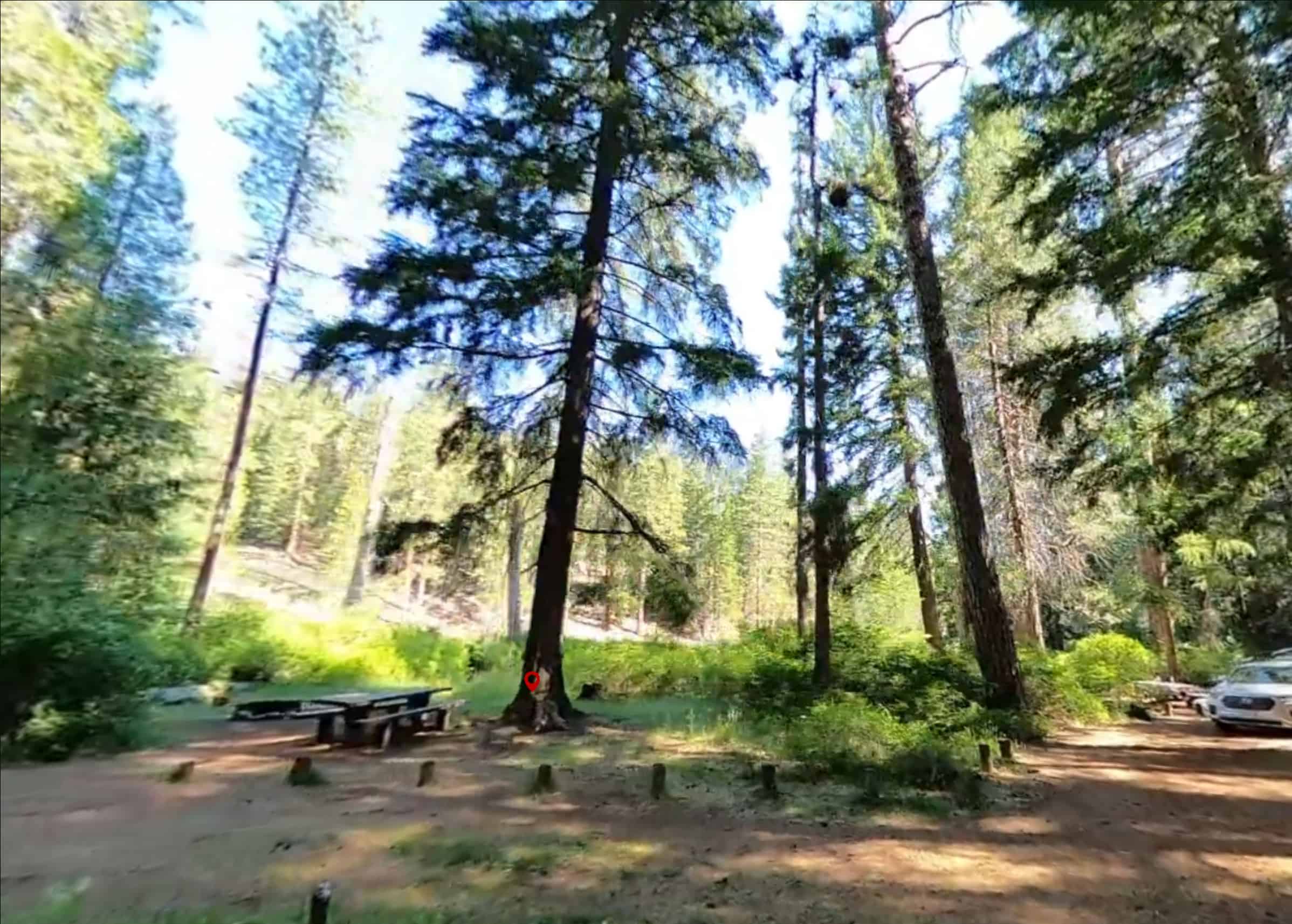 Pioneer Ford Campground