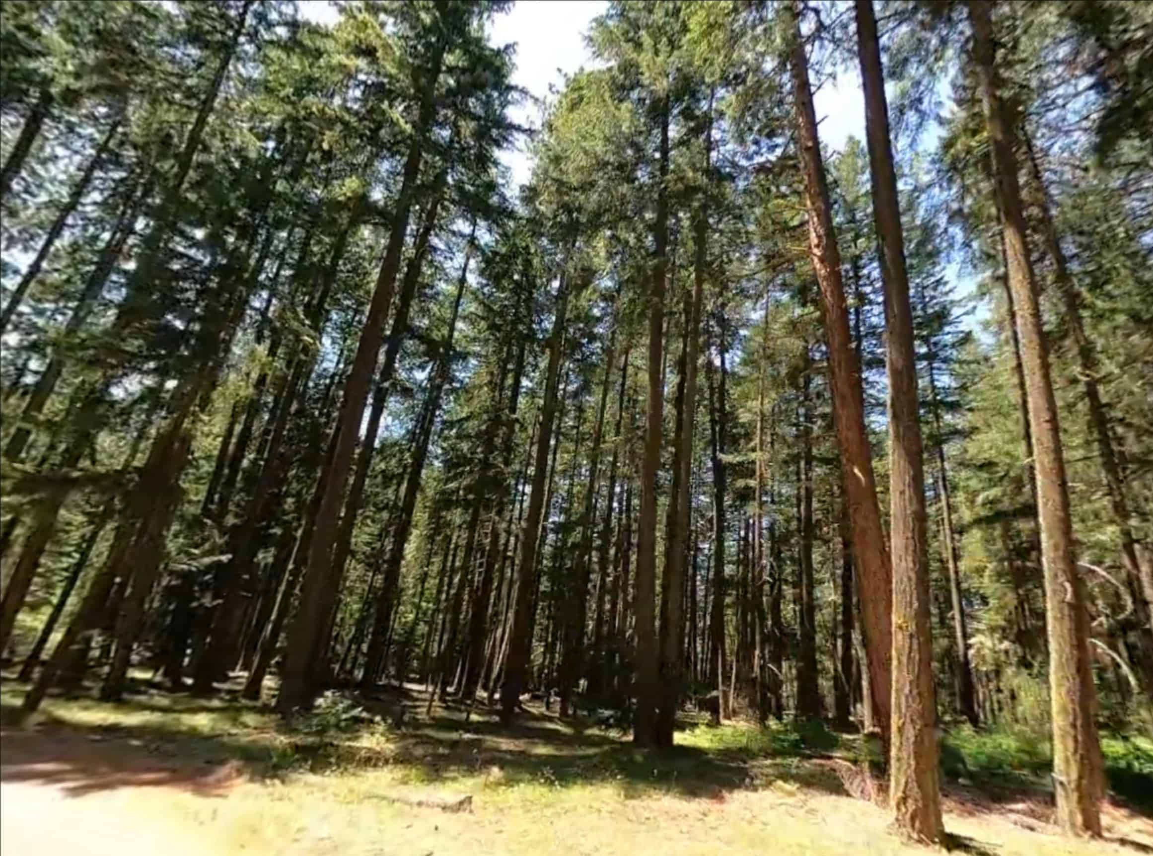 Spring Drive RV Campground