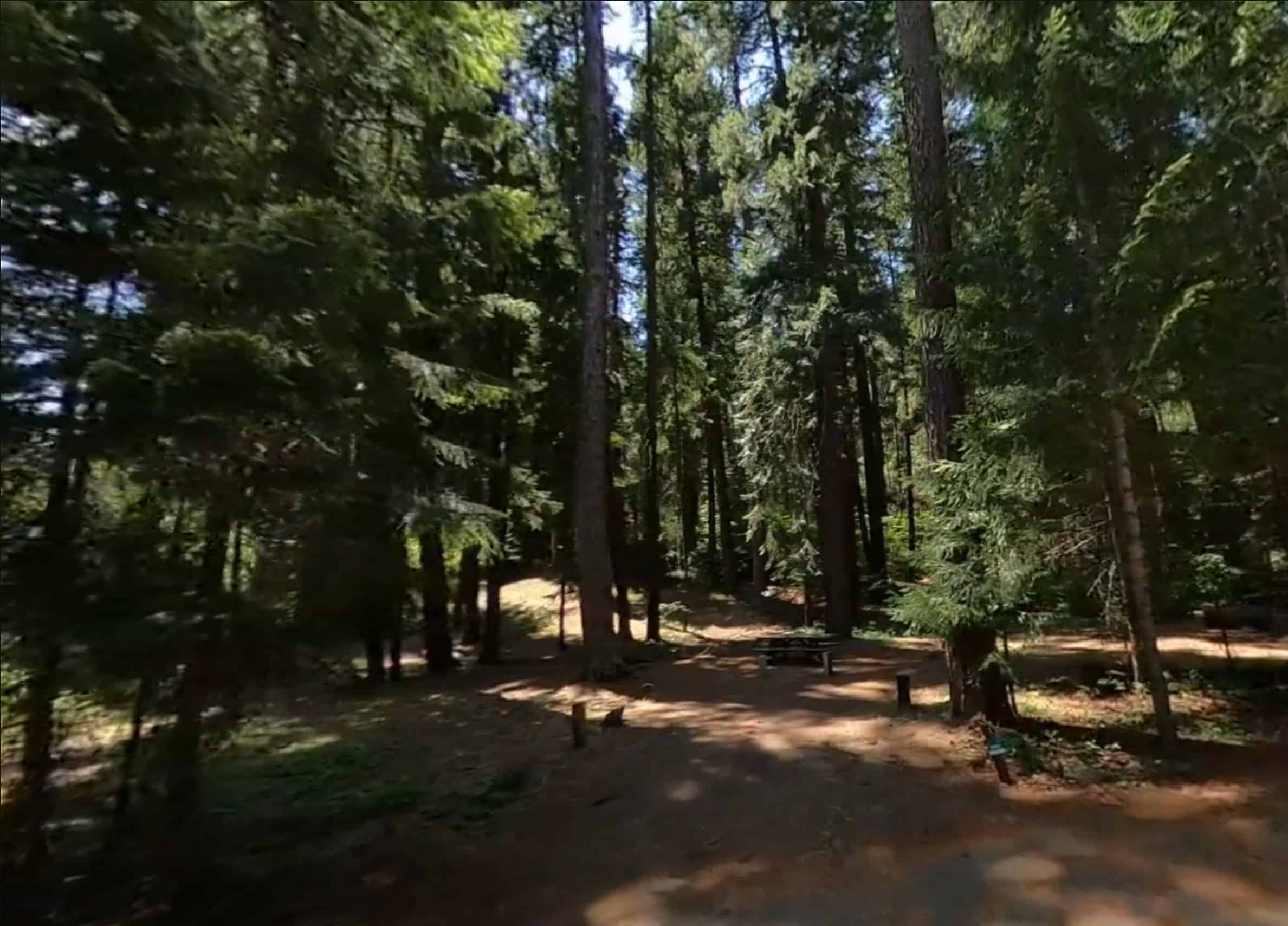 Bear Springs Campground