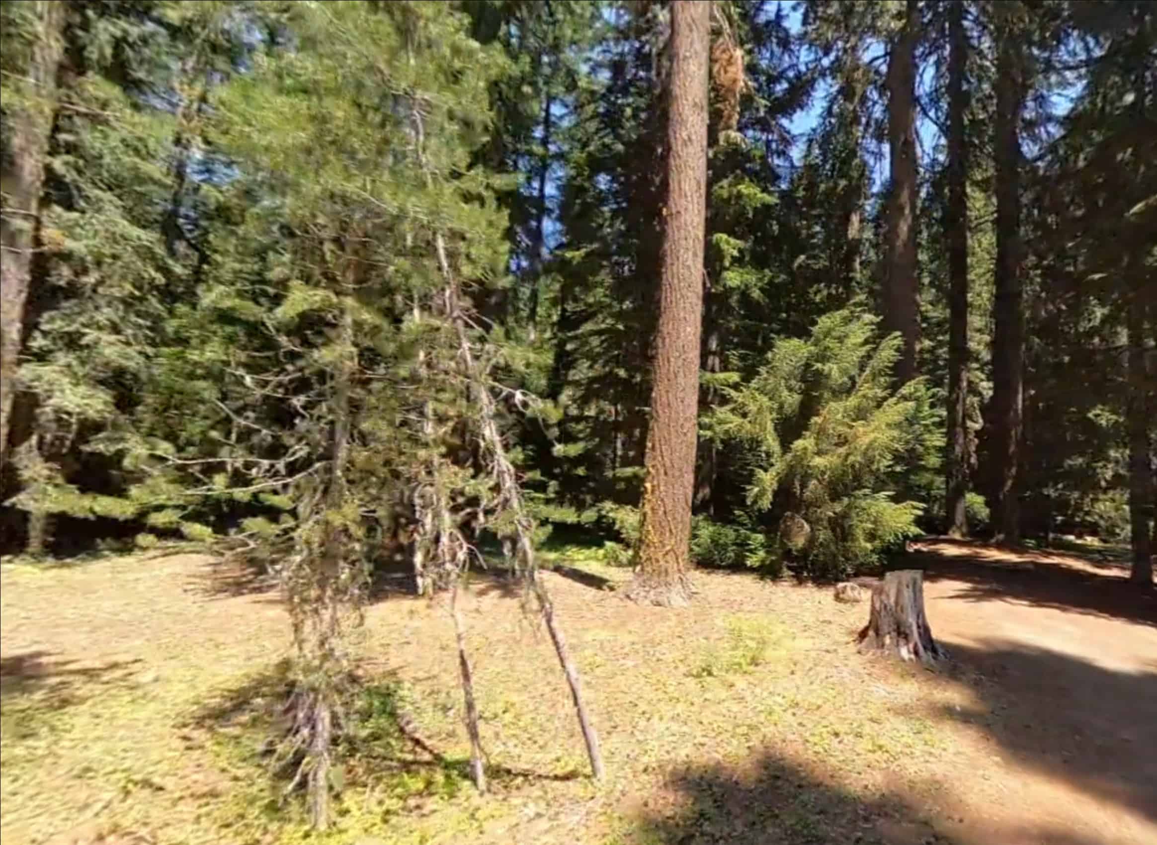 Little Crater Lake Campground