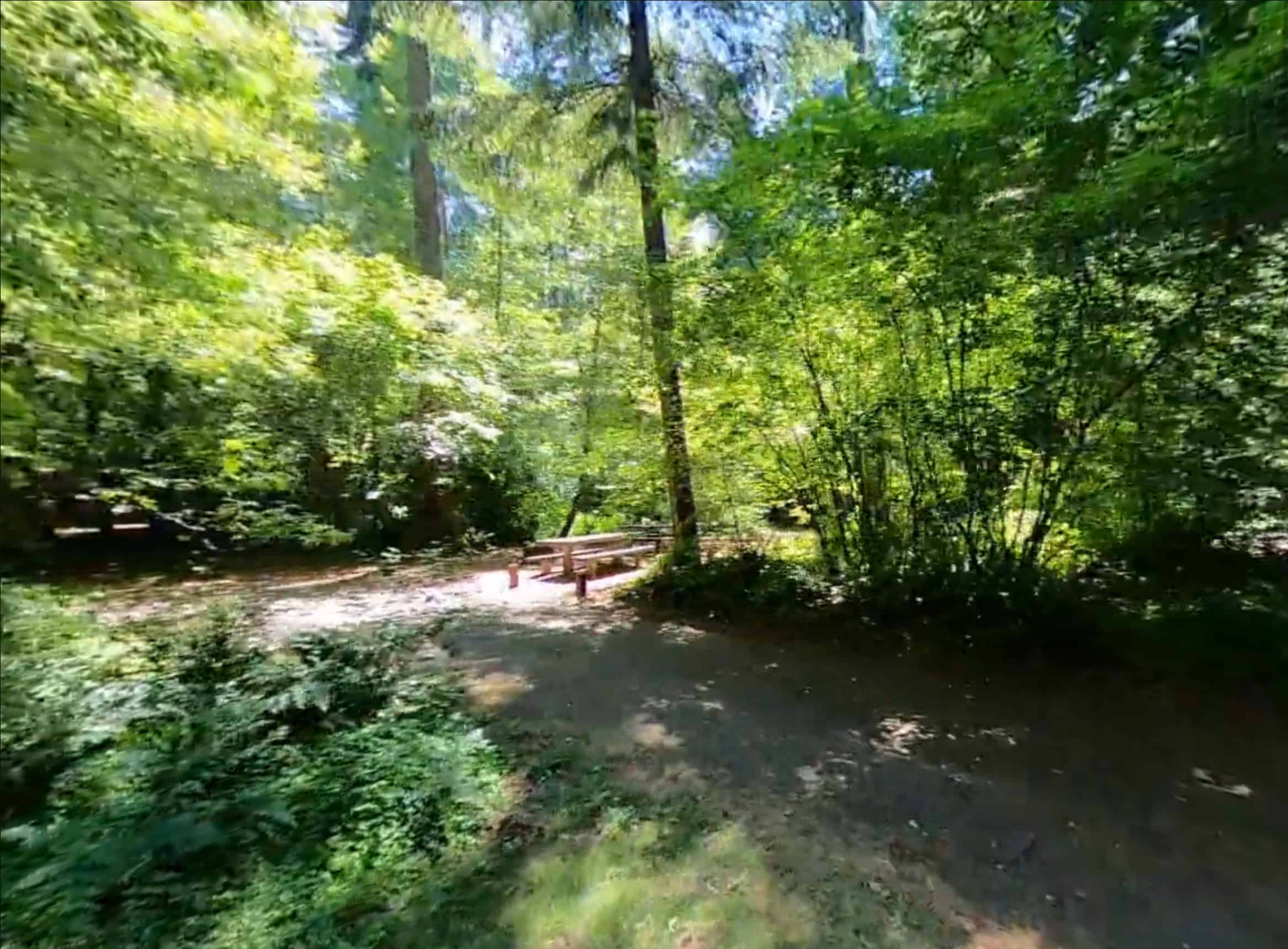 Cove Creek Campground