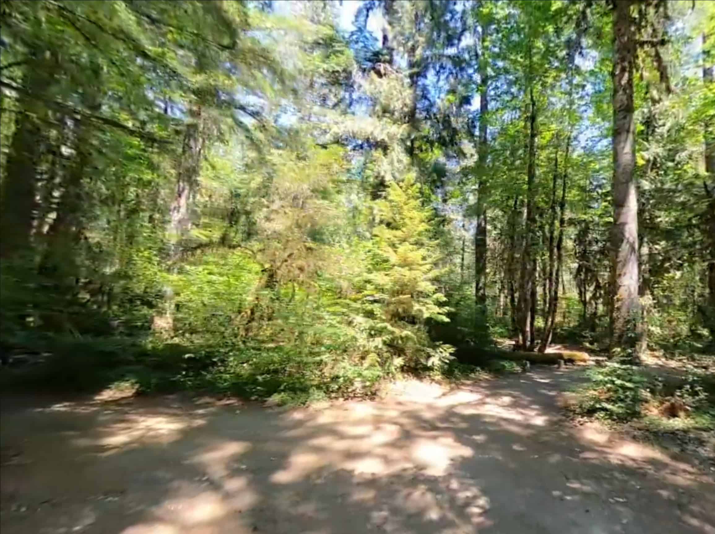 McKenzie Bridge Campground