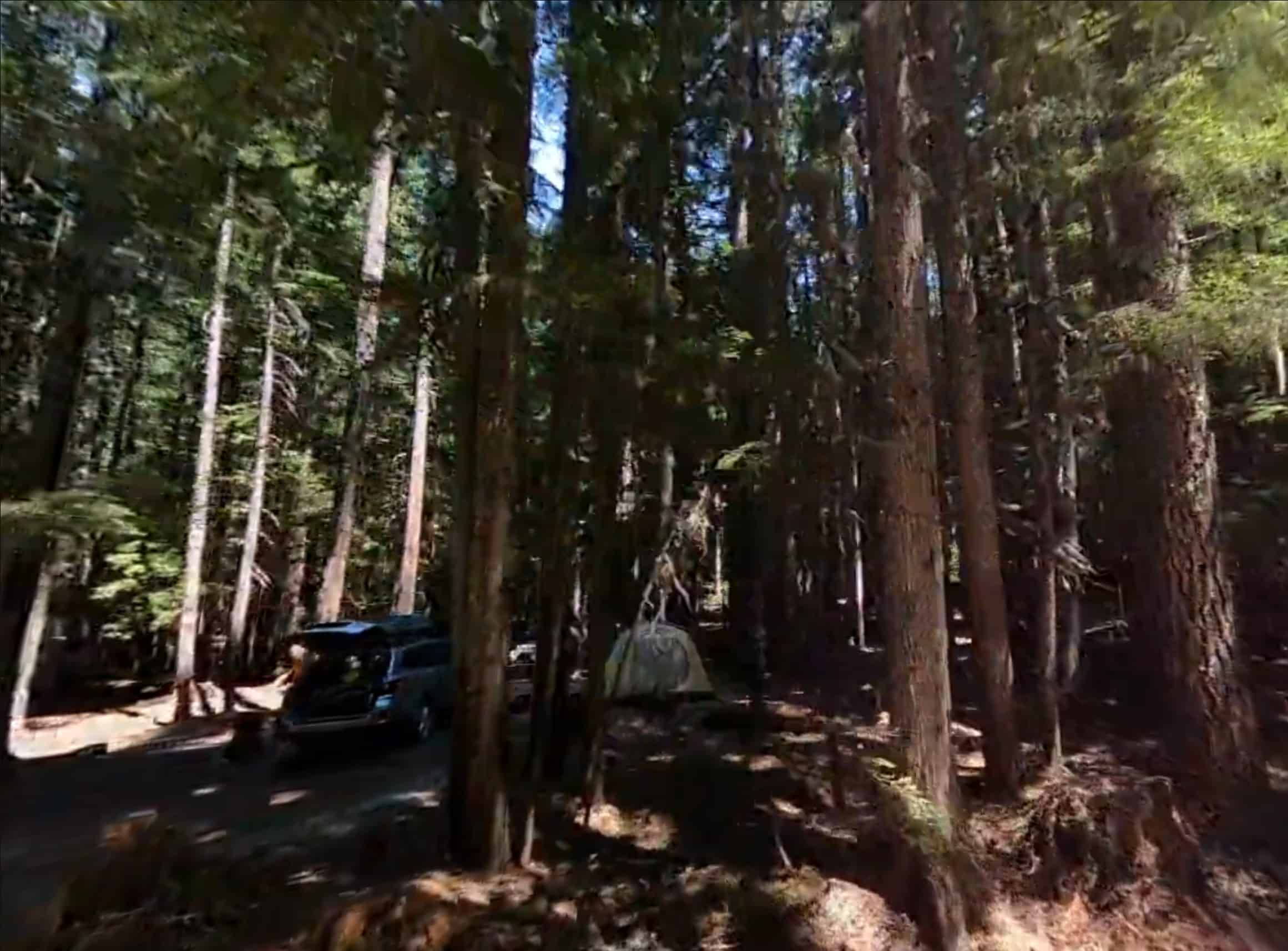 Walupt Lake Campground