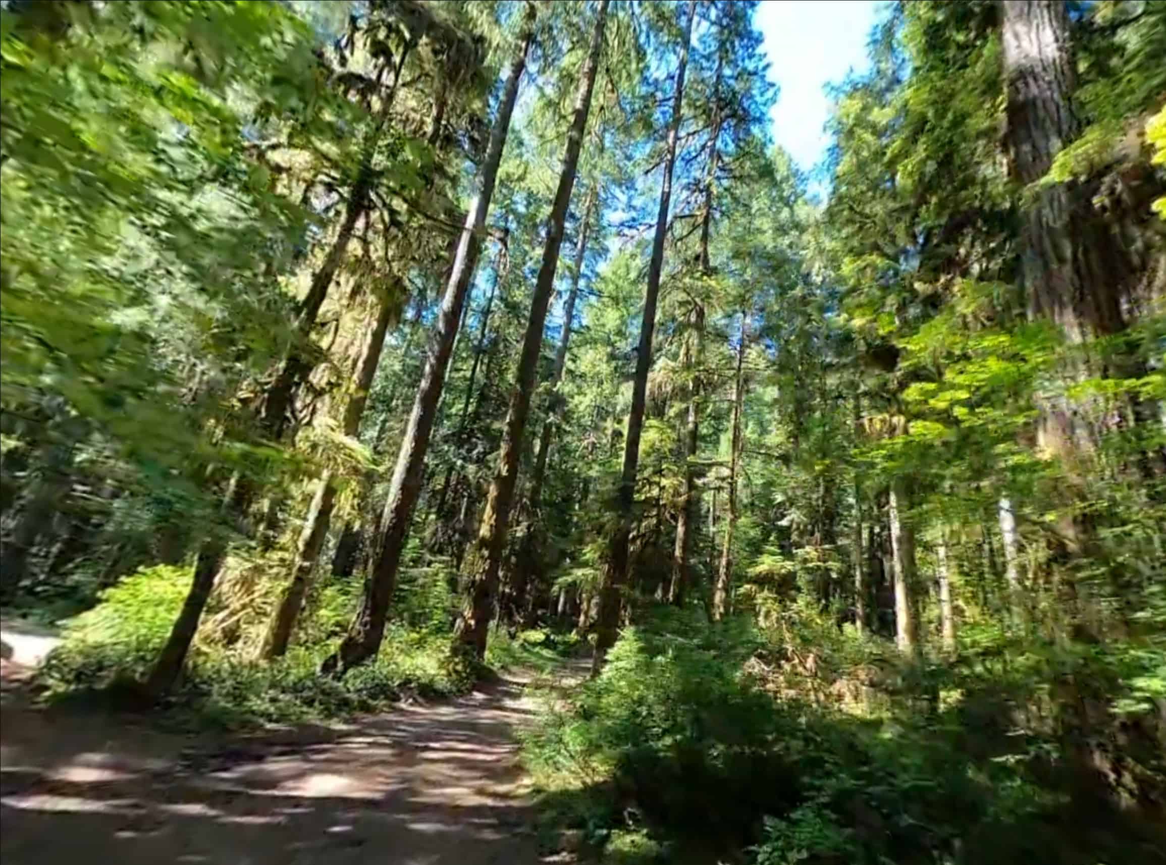 Lund Park Campground