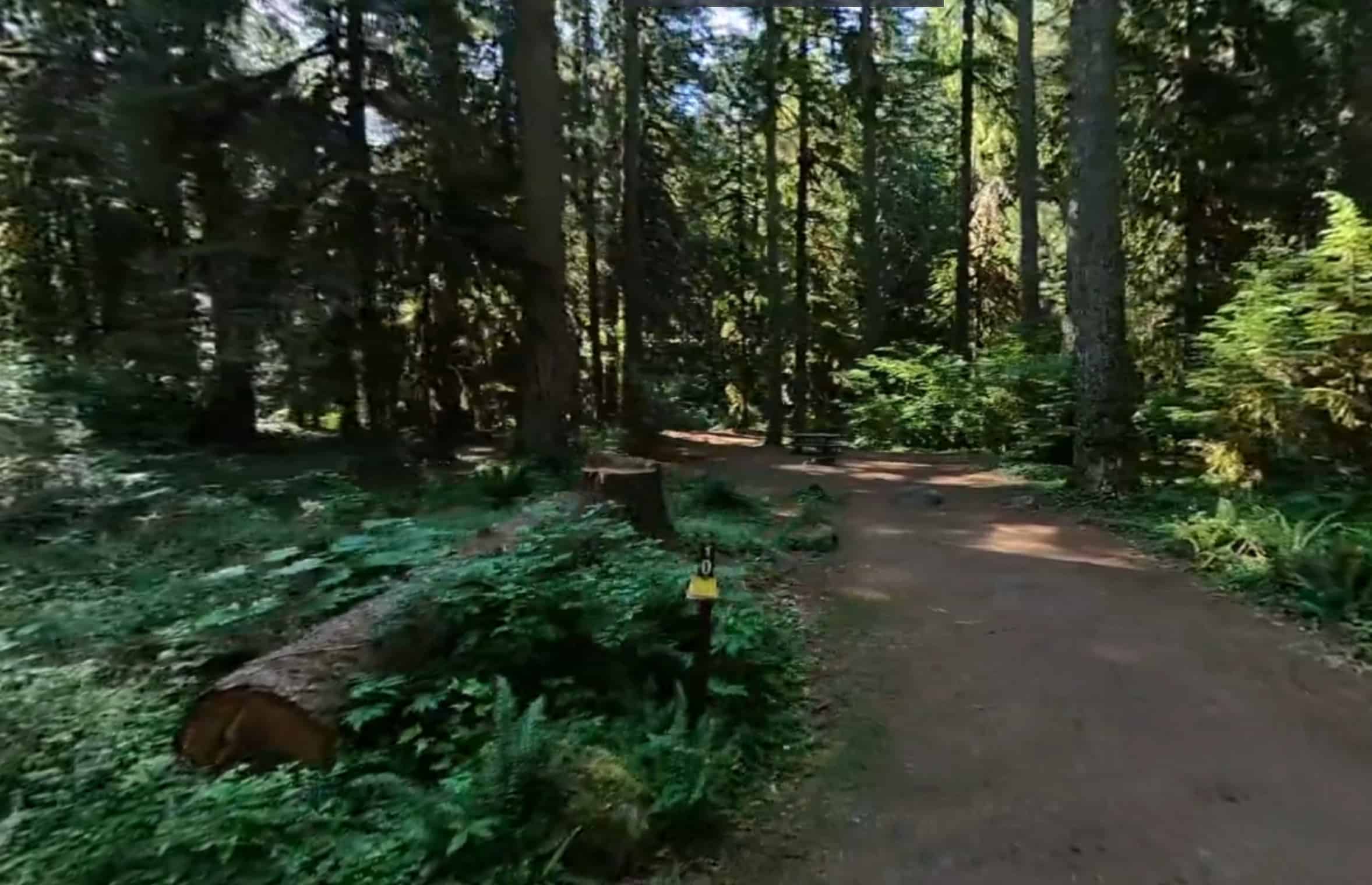 Camp Creek Campground