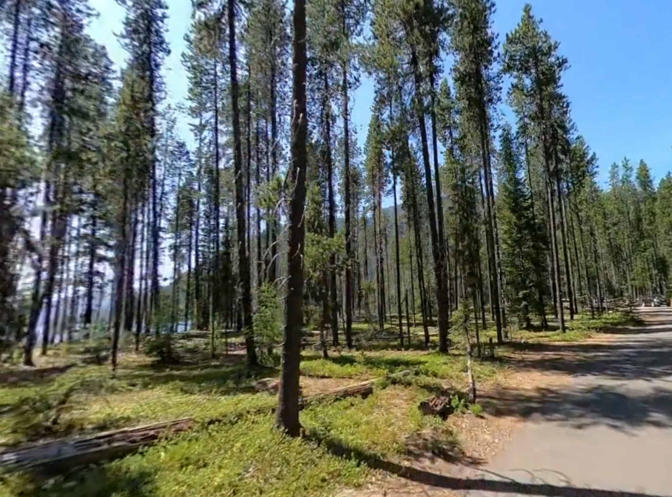 Bumping Lake Campground