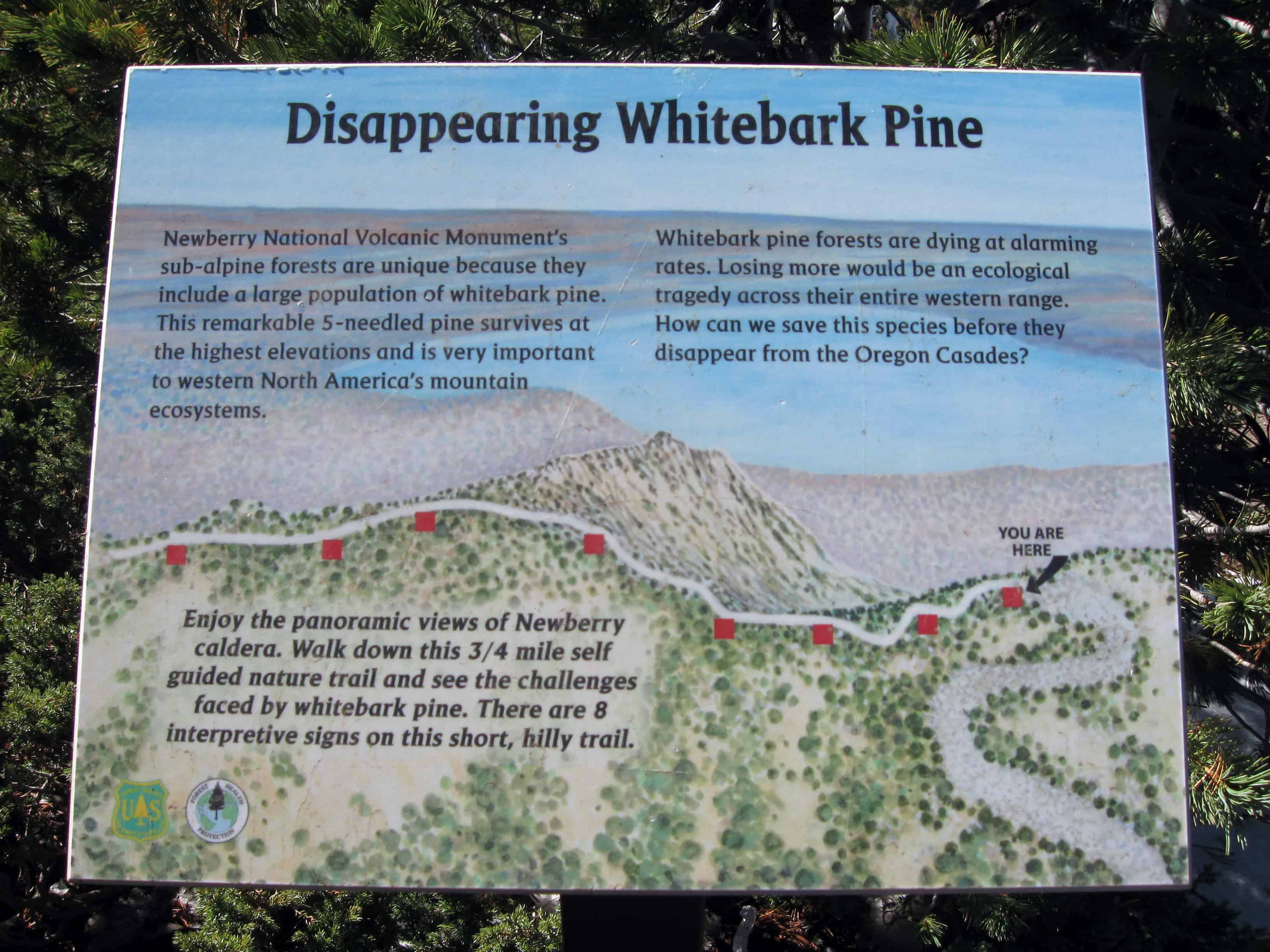 East Lake Campground