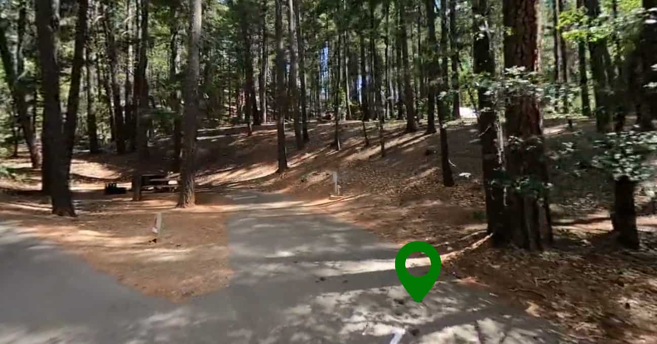 Bushytail Campground