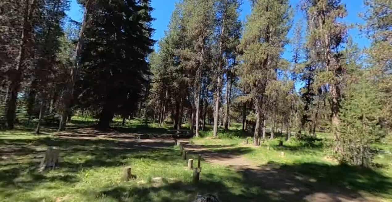 Cow Meadow Campground