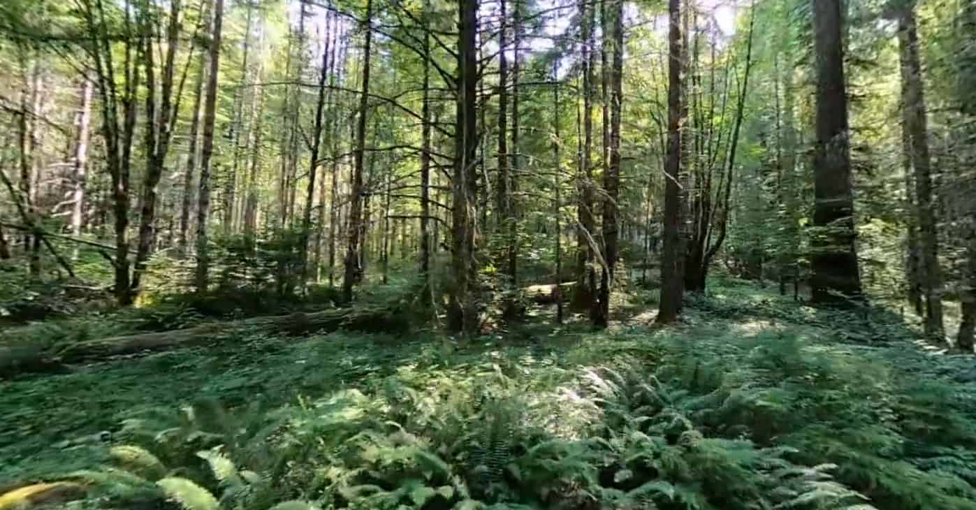 Sunnyside Campground