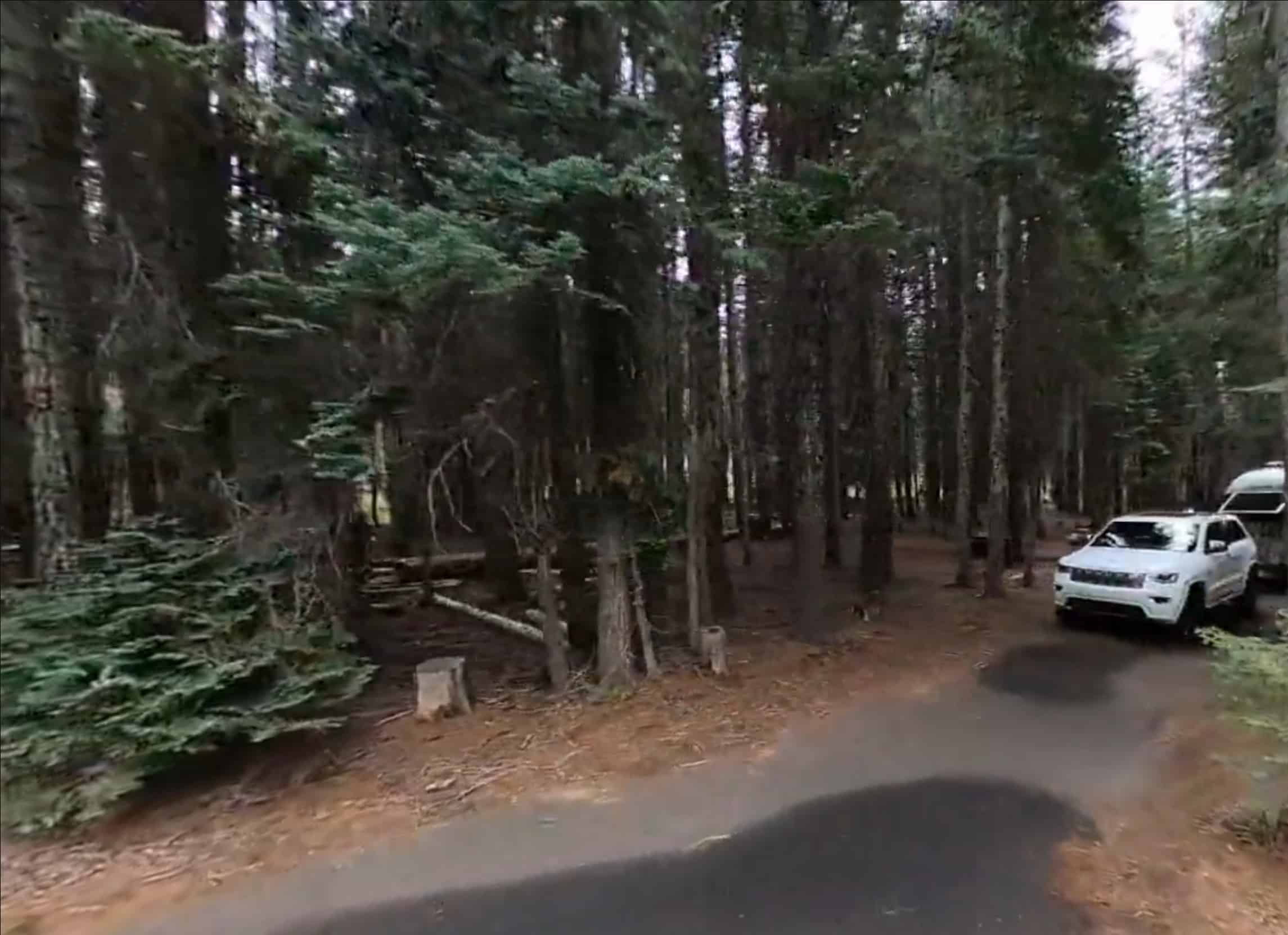 Thielsen View Campground