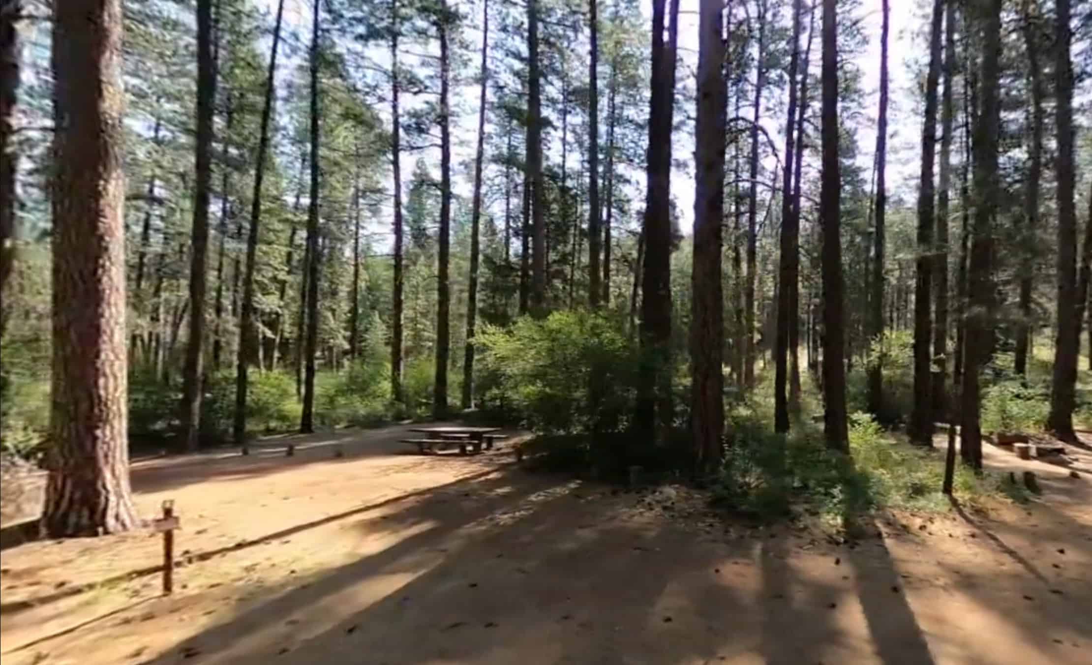 Allingham Campground