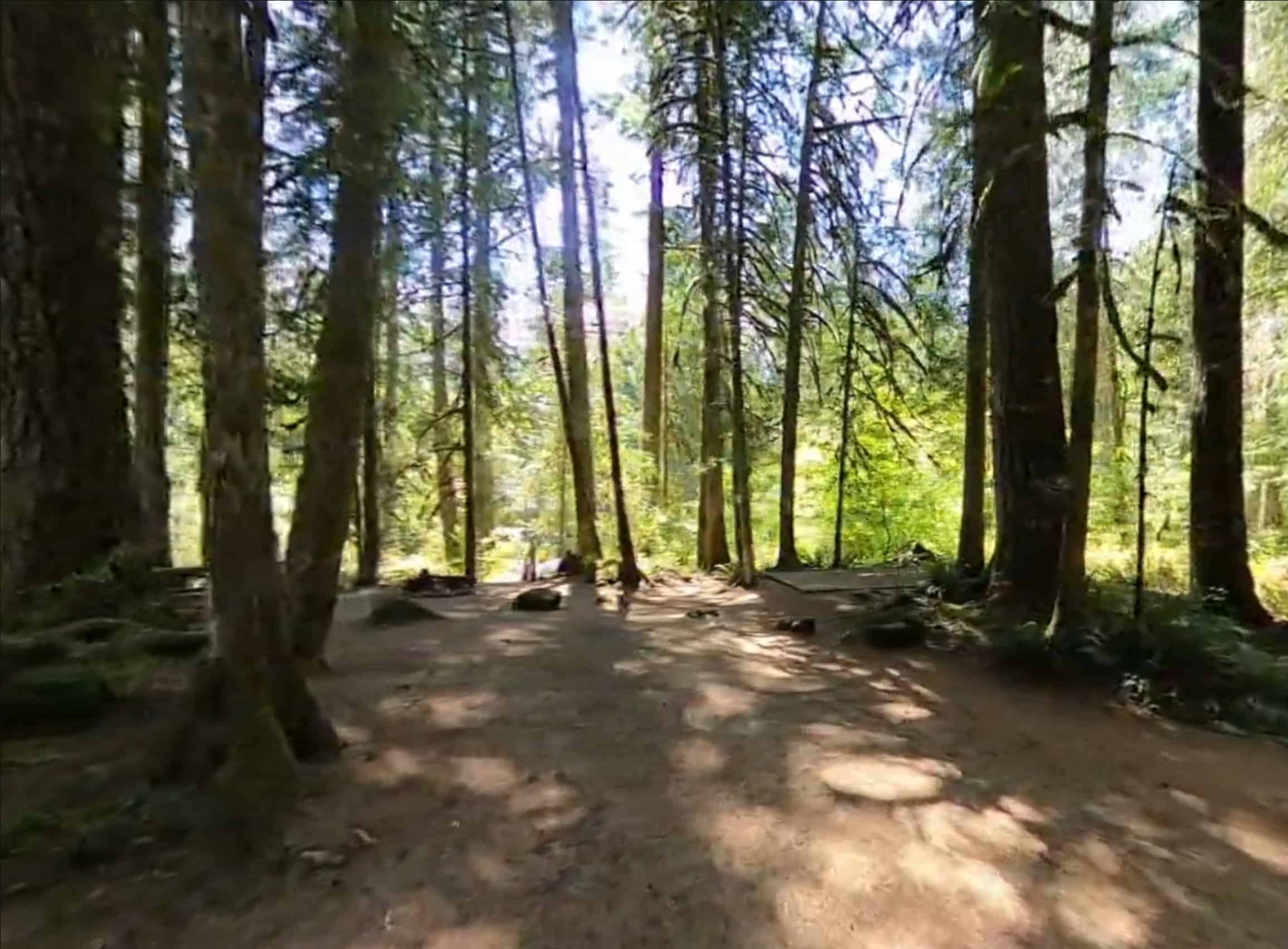 Douglas Fir Campground