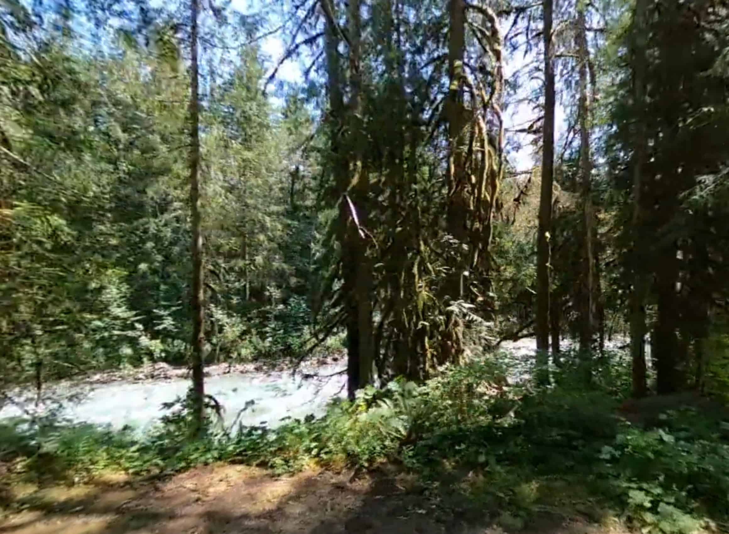 Douglas Fir Campground