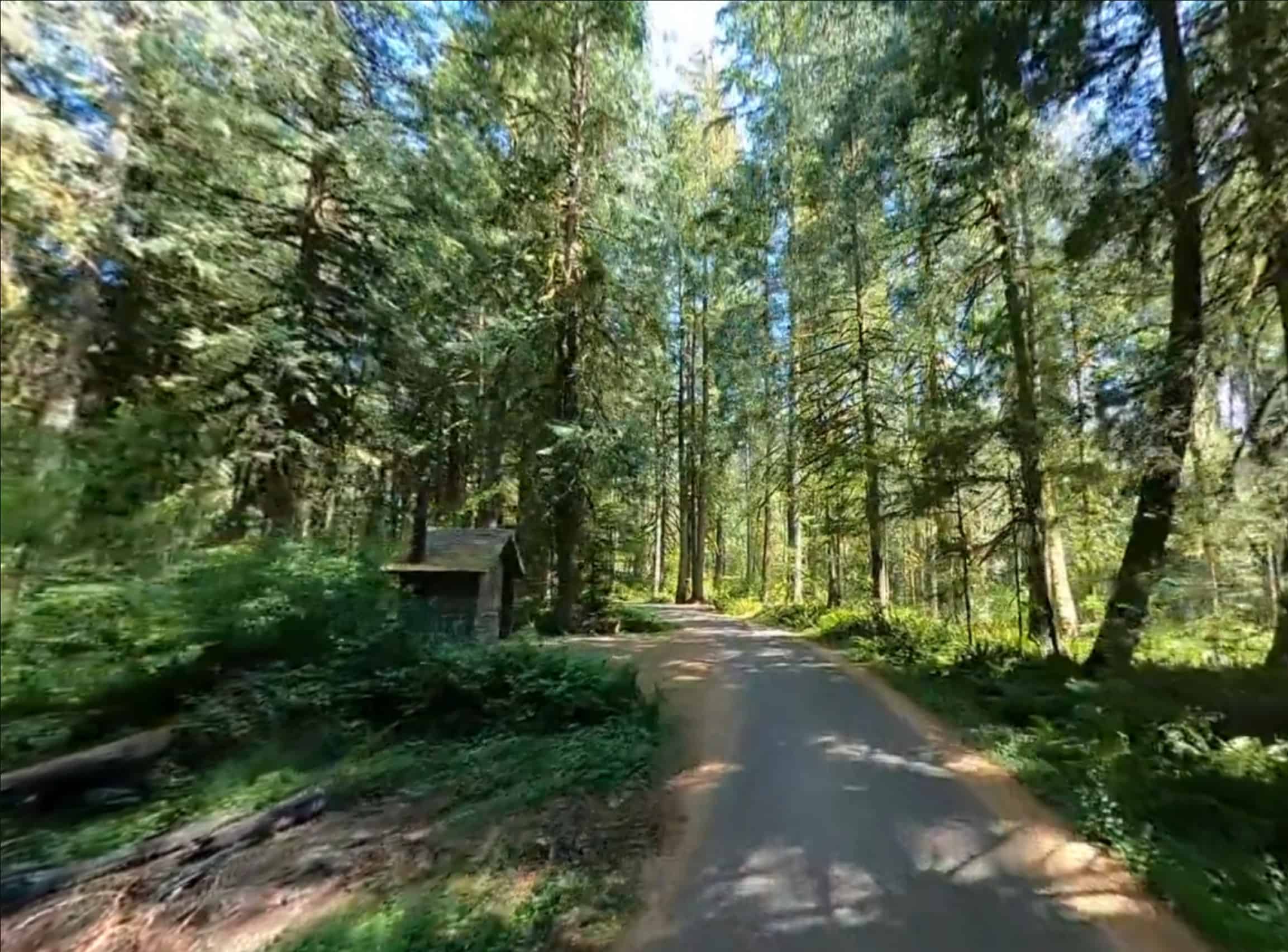 Douglas Fir Campground