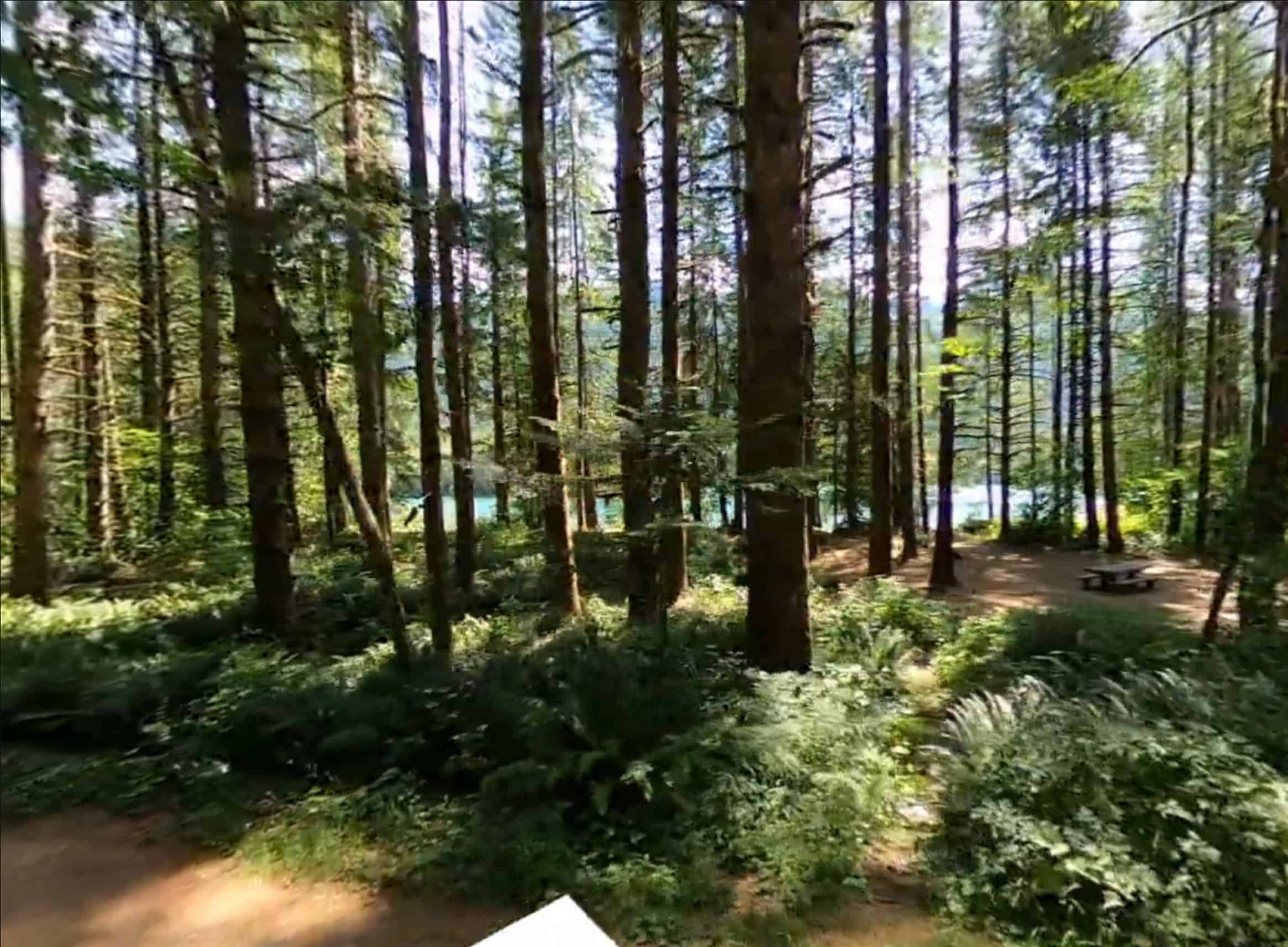 Horseshoe Cove Campground