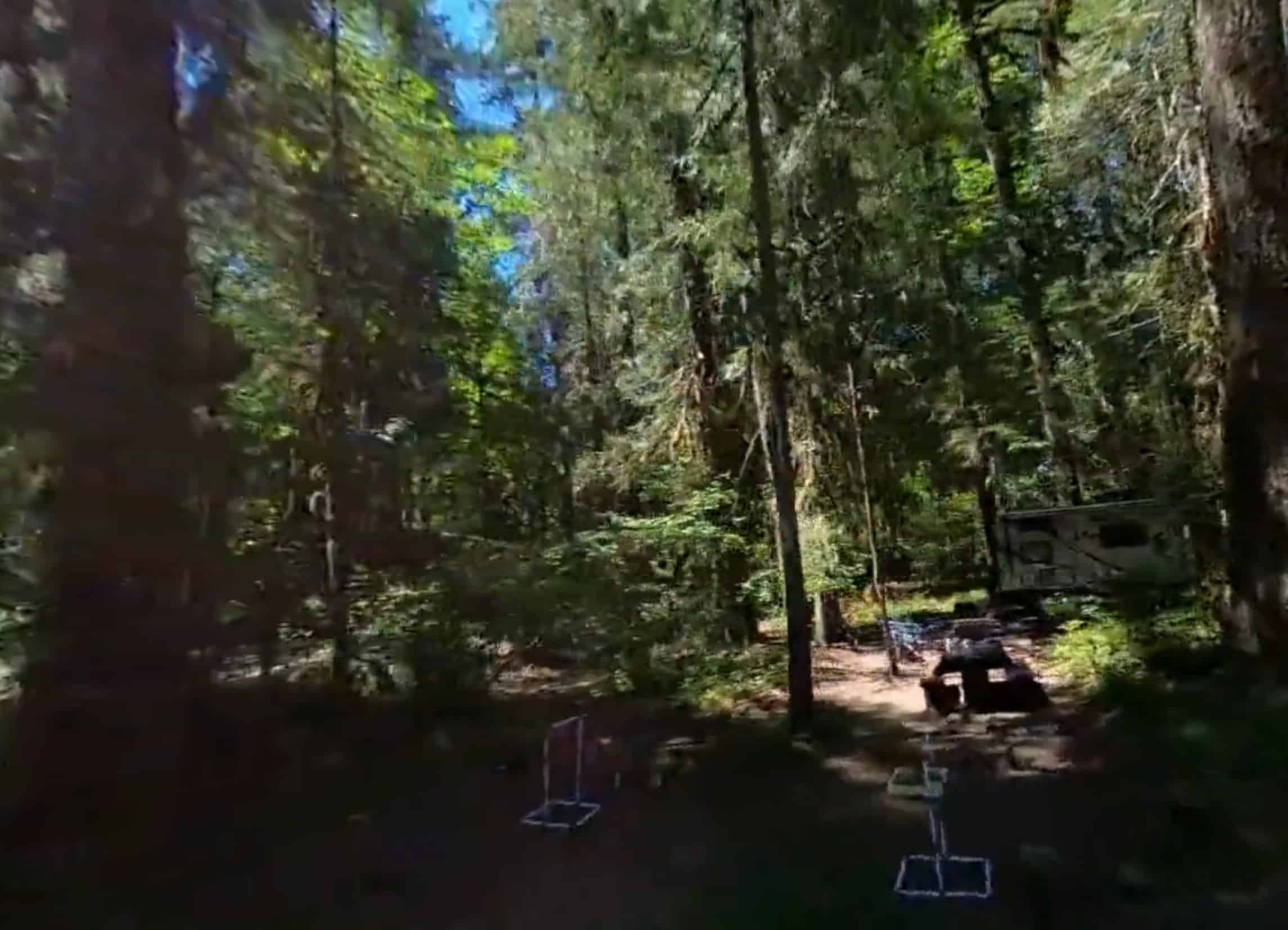 Paradise in Oregon Campground