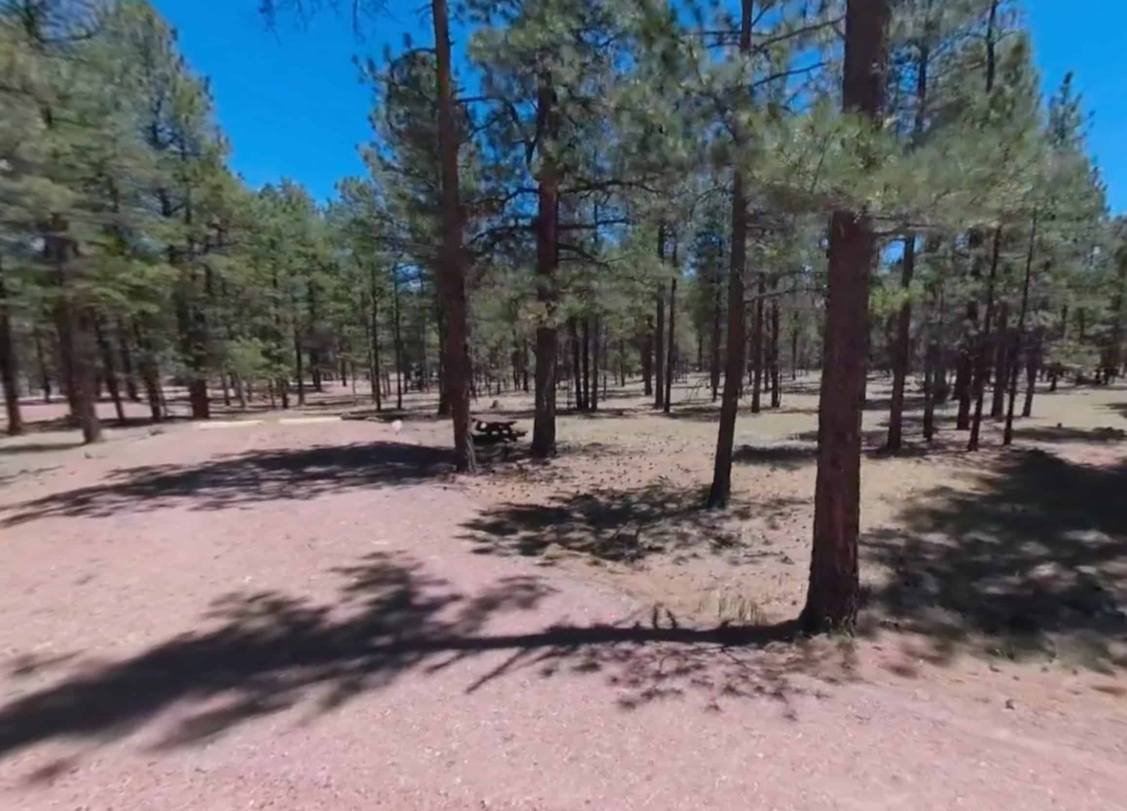 Rolfe C. Hoyer Campground