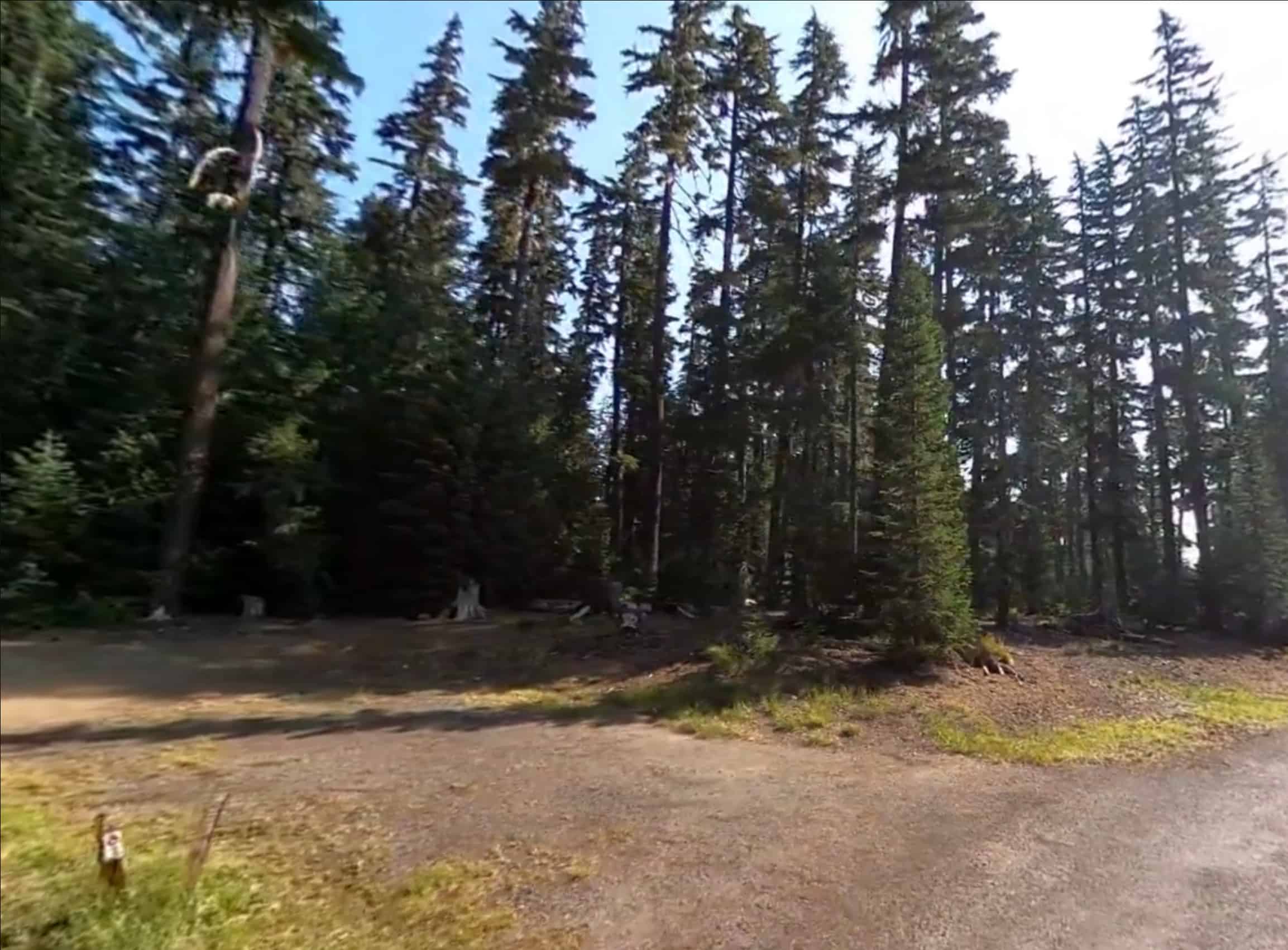 Shadow Bay Campground