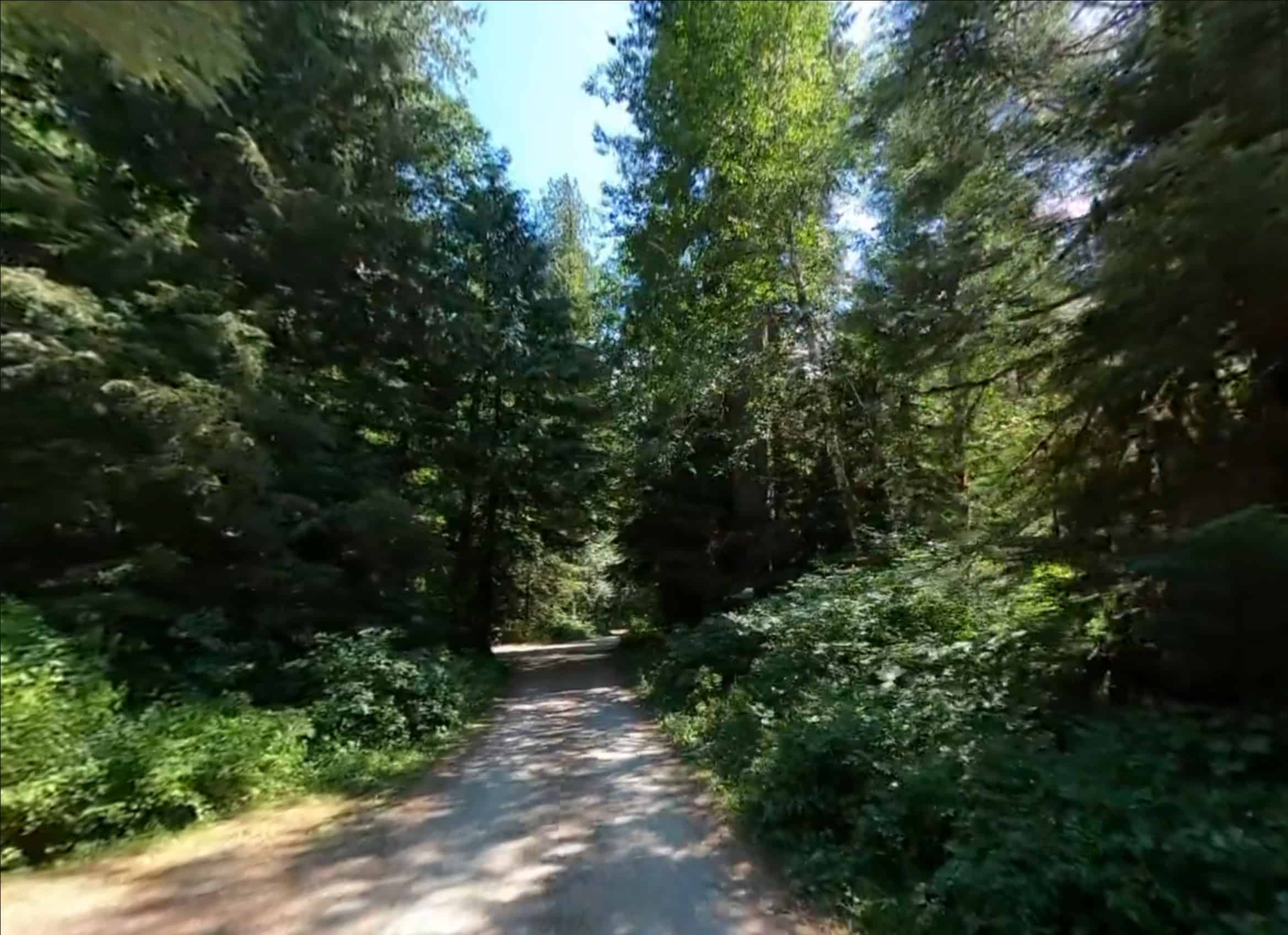 Silver Fir Campground