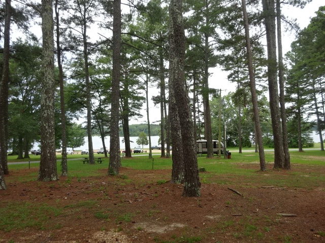 Whites Lake Creek Campground