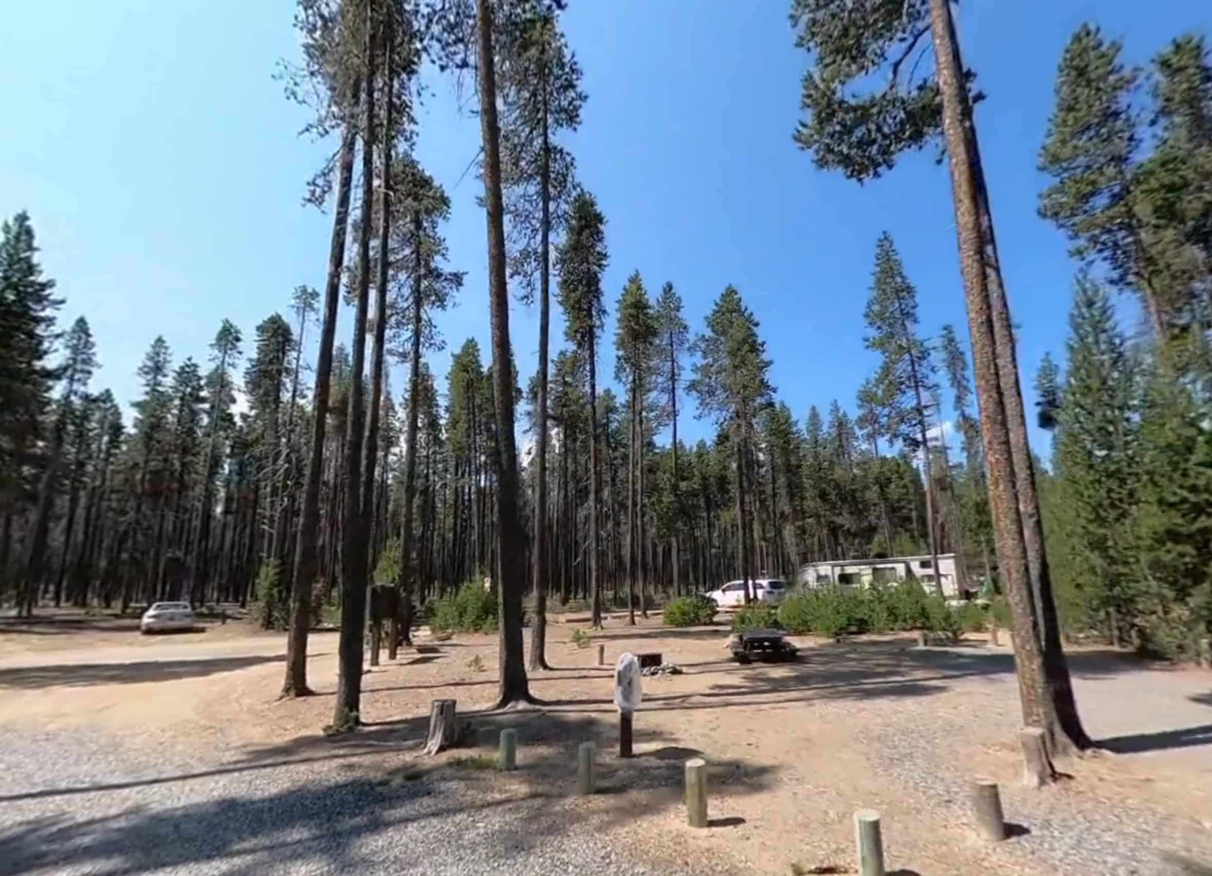 Contorta Flat Campground