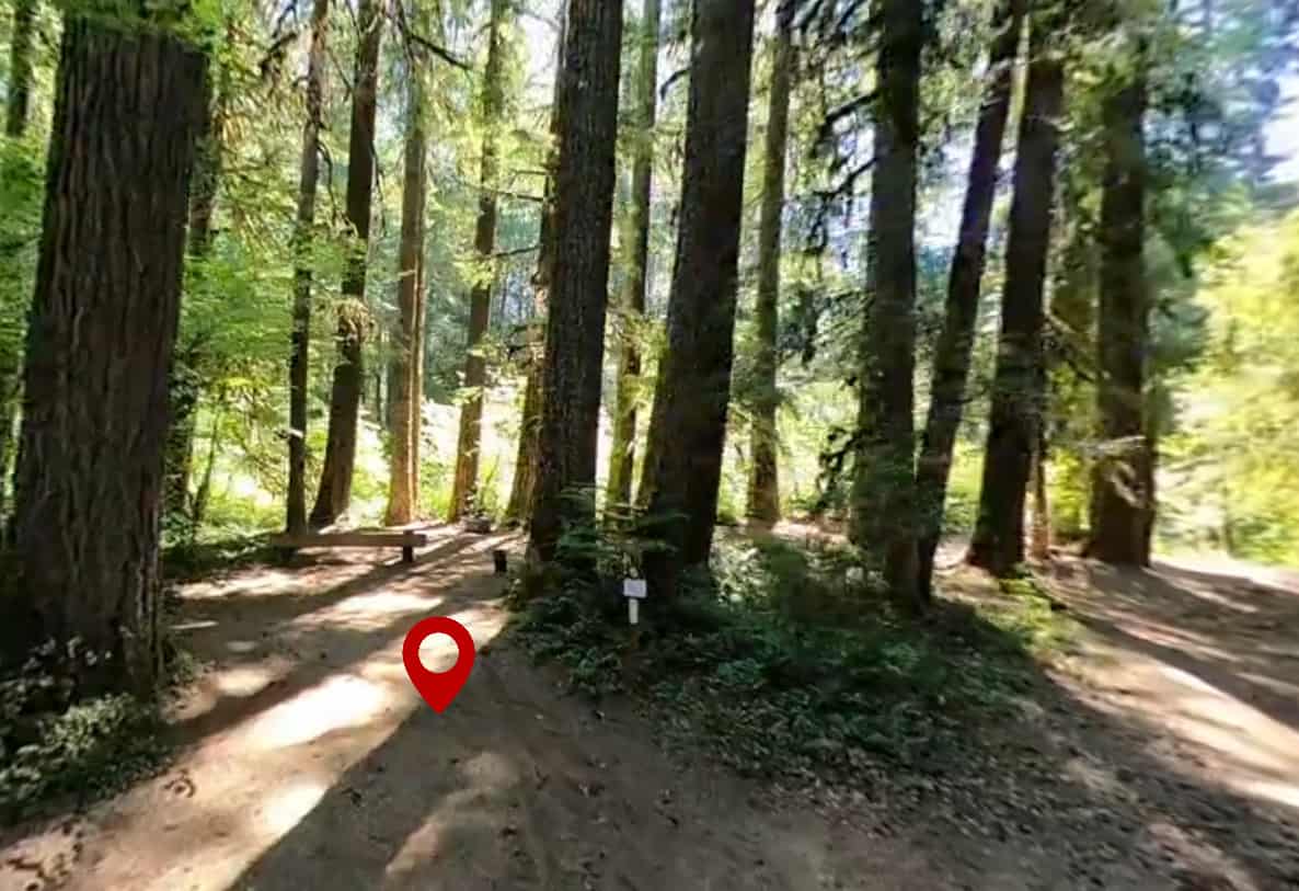 Limberlost Campground