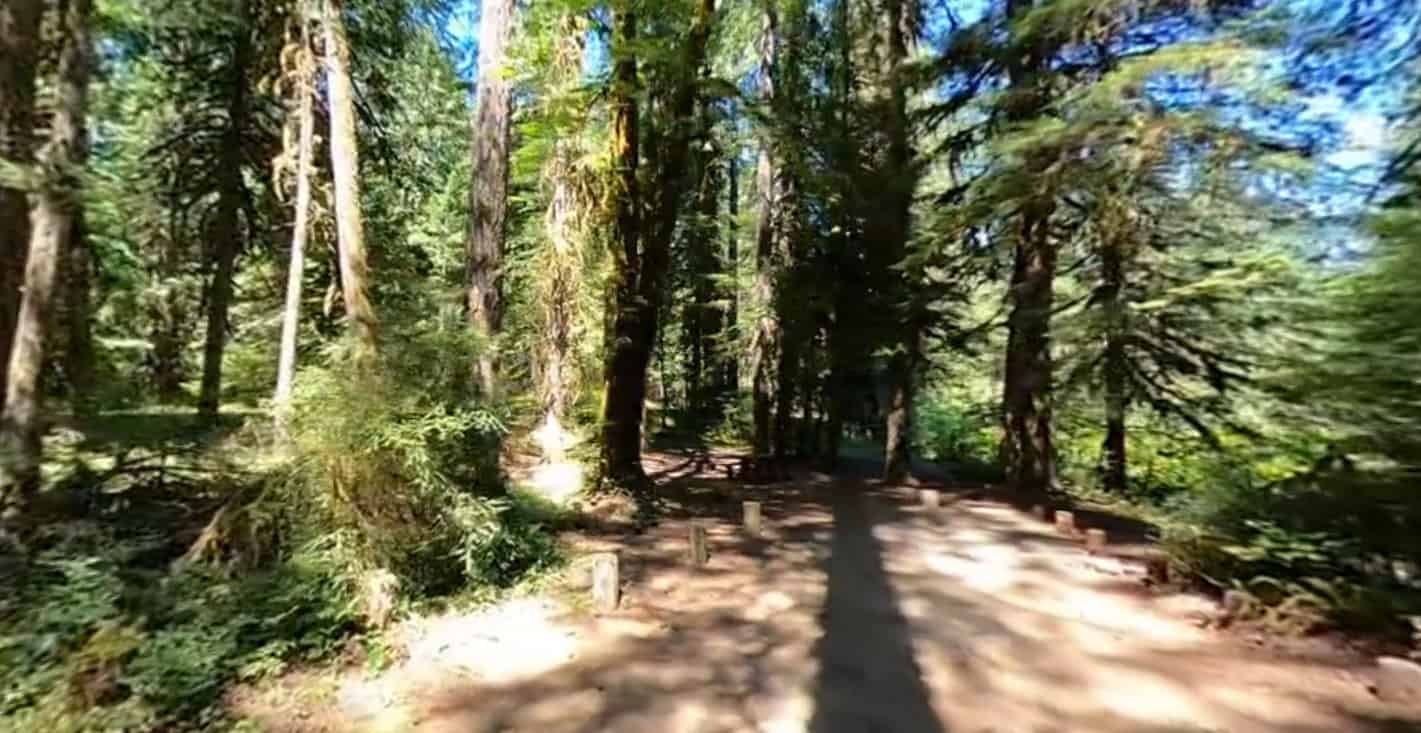 Limberlost Campground